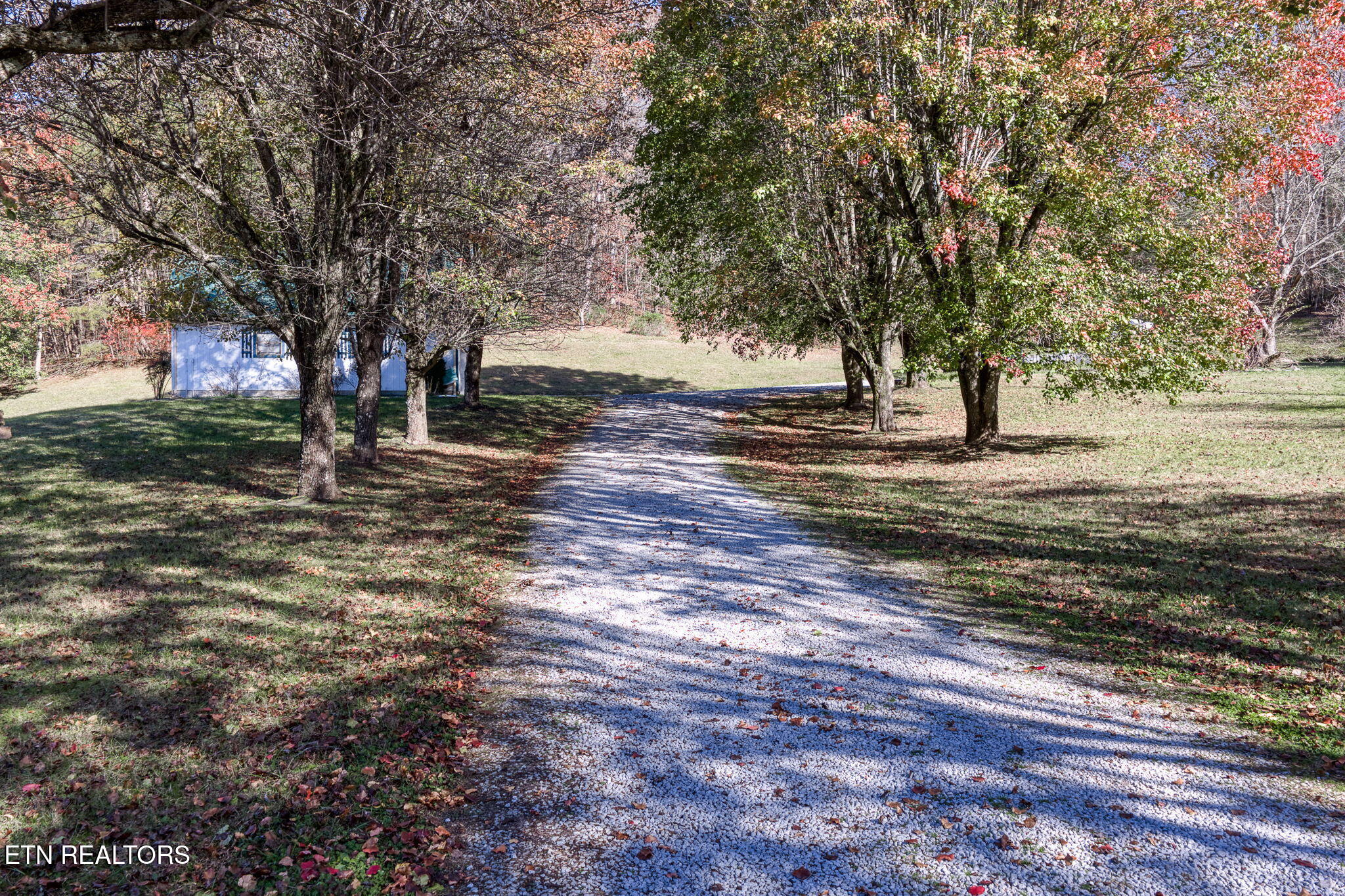 5334 Morgan County Highway Lancing TN 37770