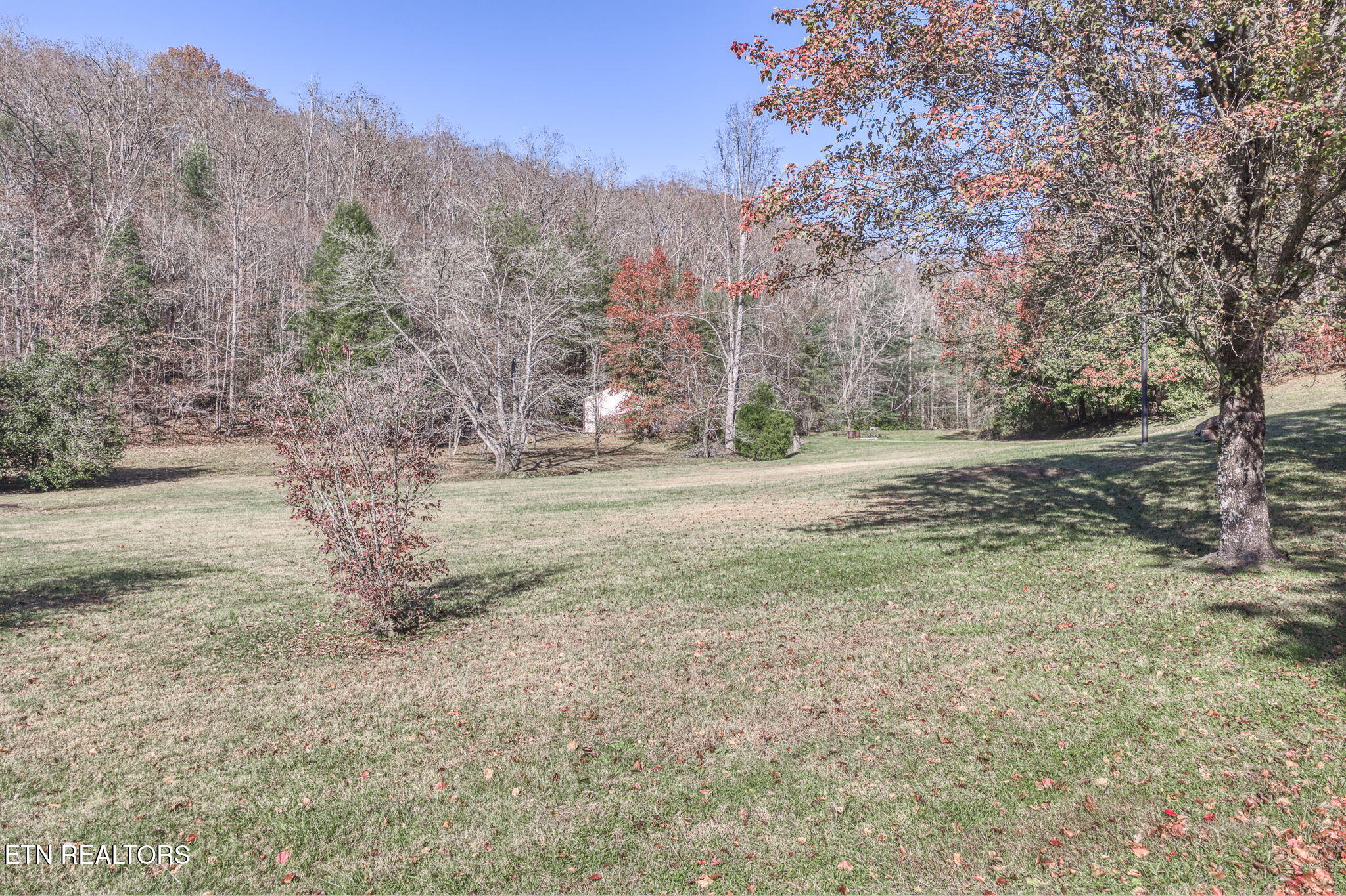5334 Morgan County Highway Lancing TN 37770
