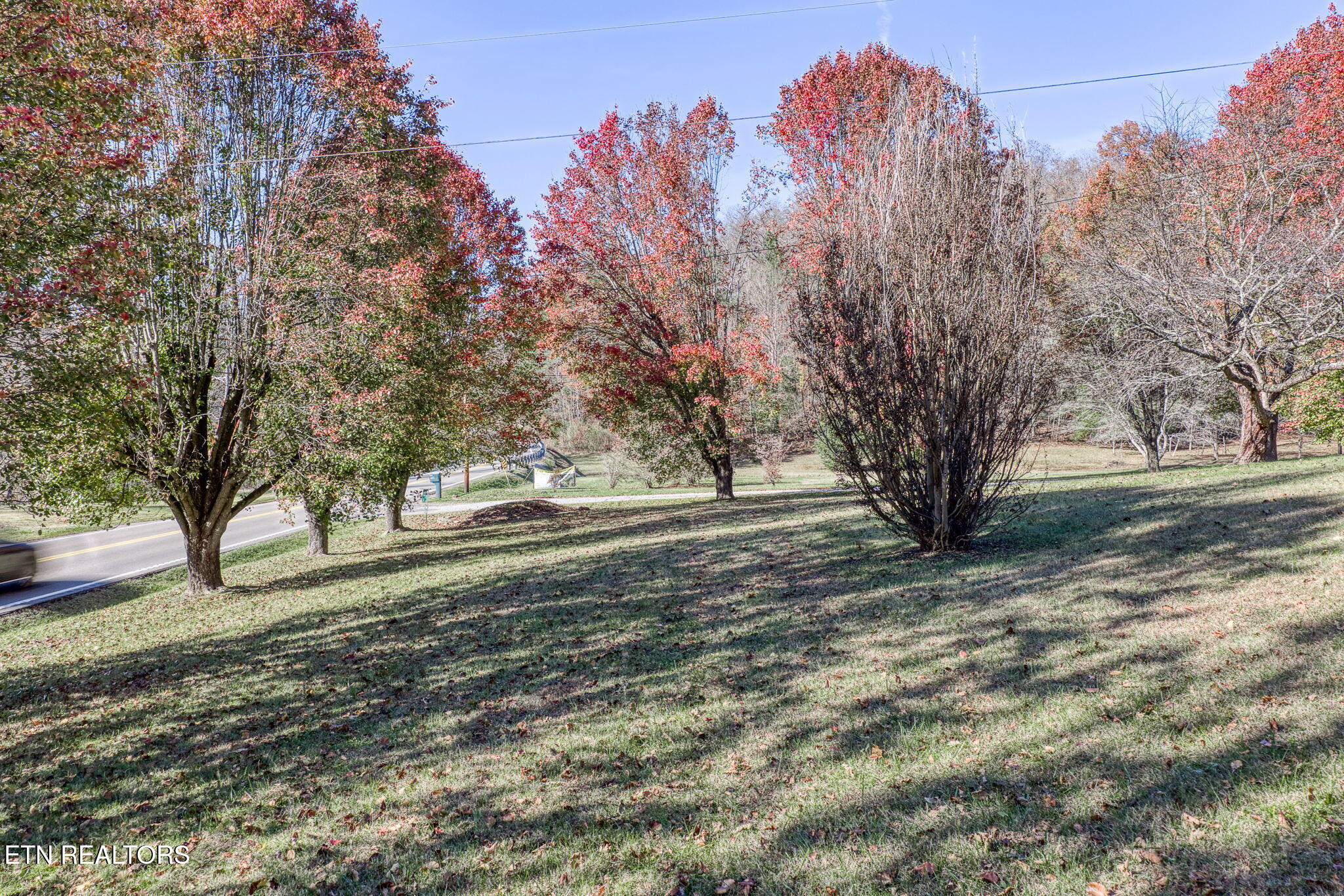 5334 Morgan County Highway Lancing TN 37770