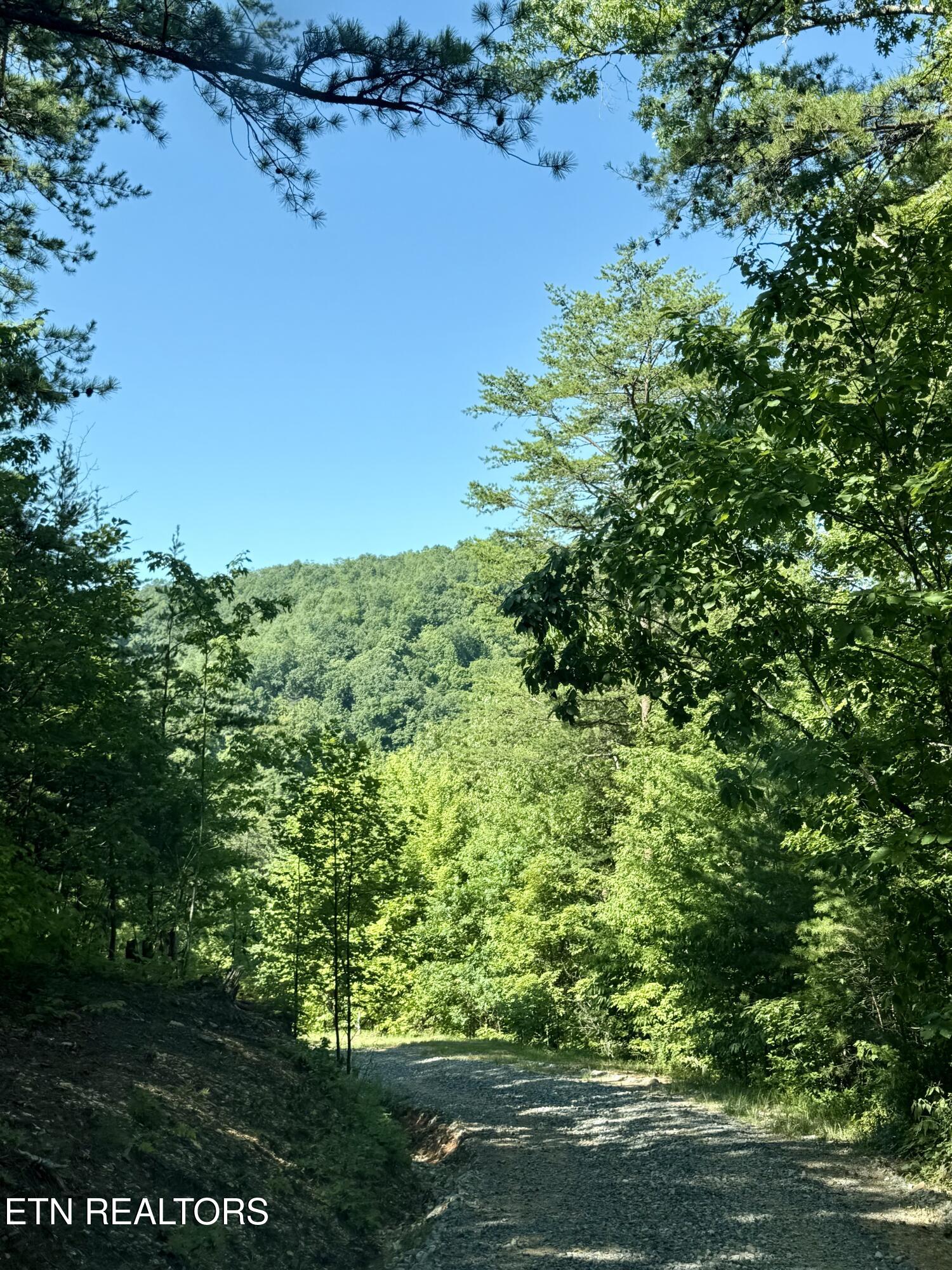 1600 Chestnut Valley Road Vonore TN 37885