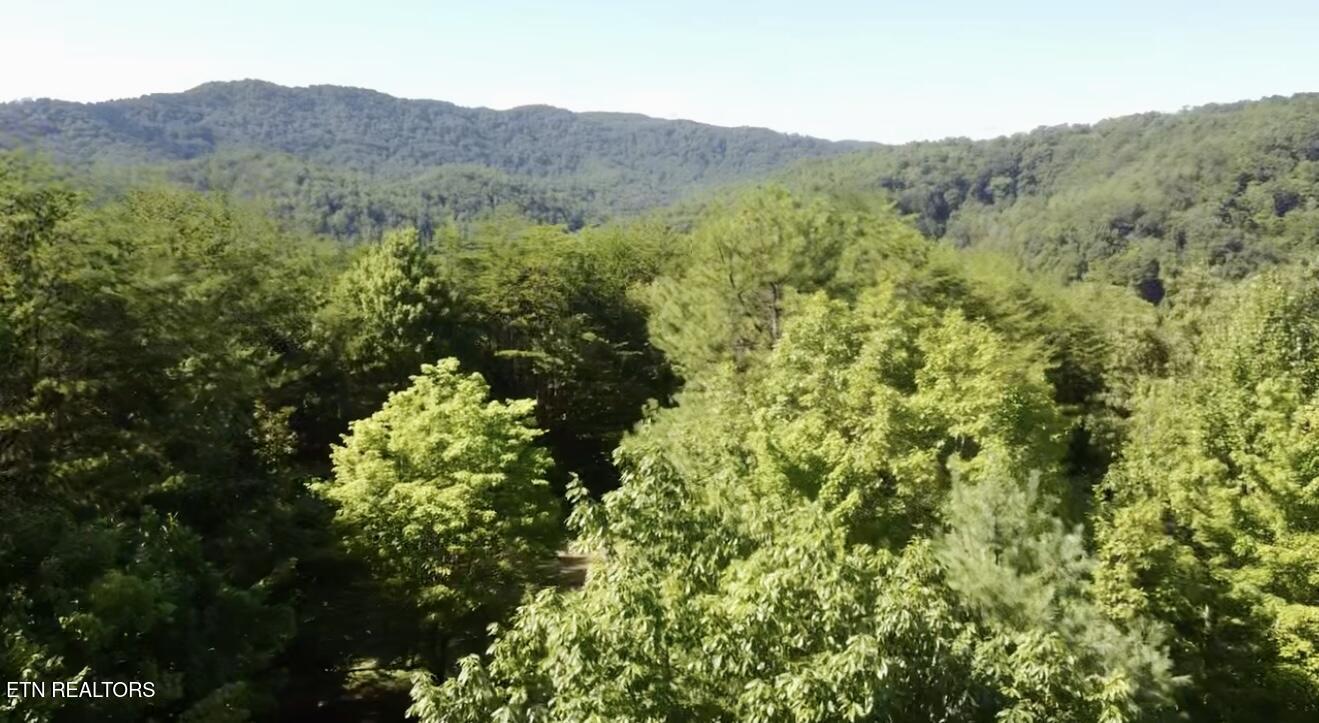 1600 Chestnut Valley Road Vonore TN 37885