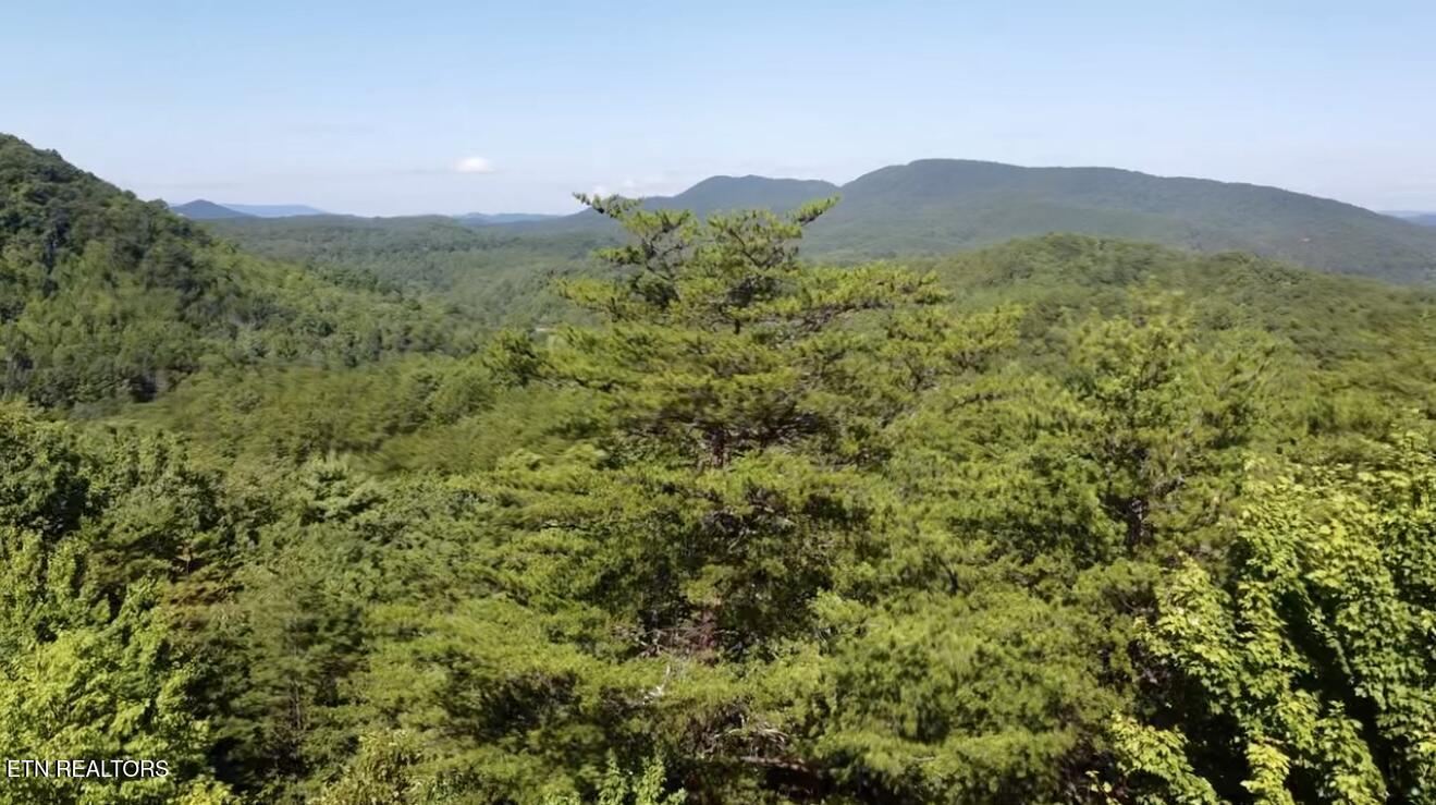 1600 Chestnut Valley Road Vonore TN 37885