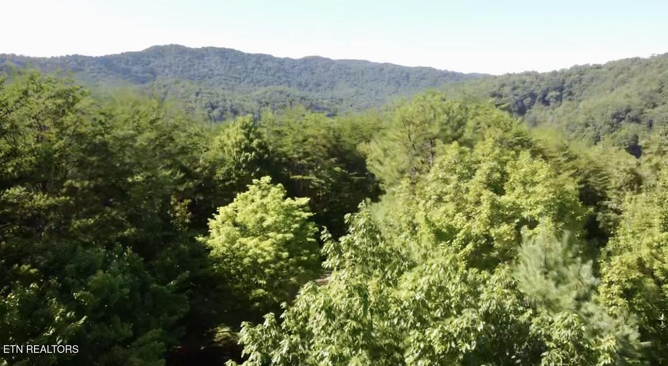 1600 Chestnut Valley Road Vonore TN 37885