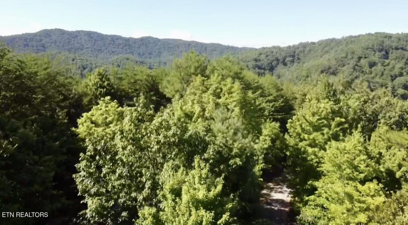 1600 Chestnut Valley Road Vonore TN 37885