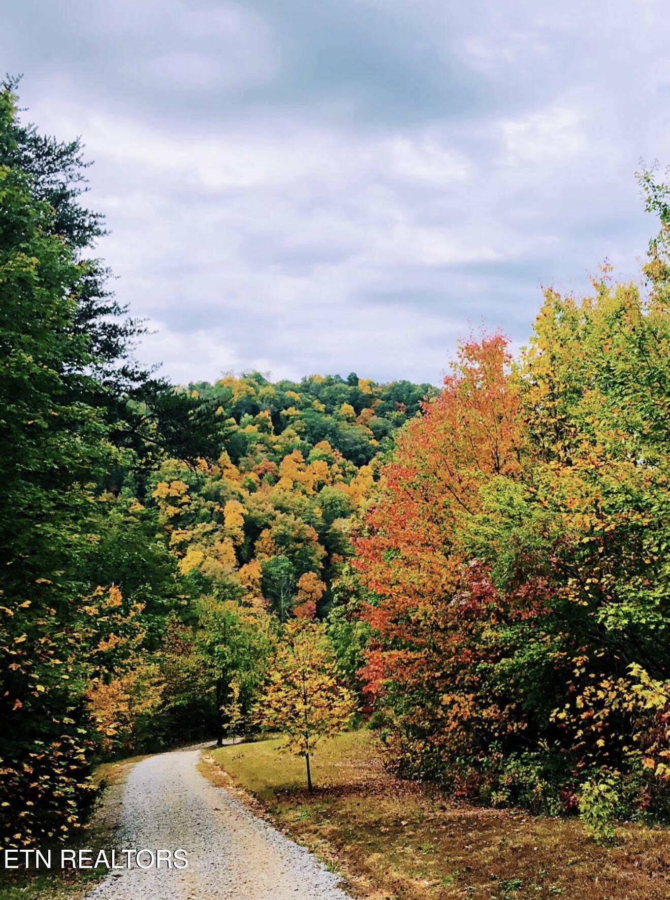 1600 Chestnut Valley Road Vonore TN 37885
