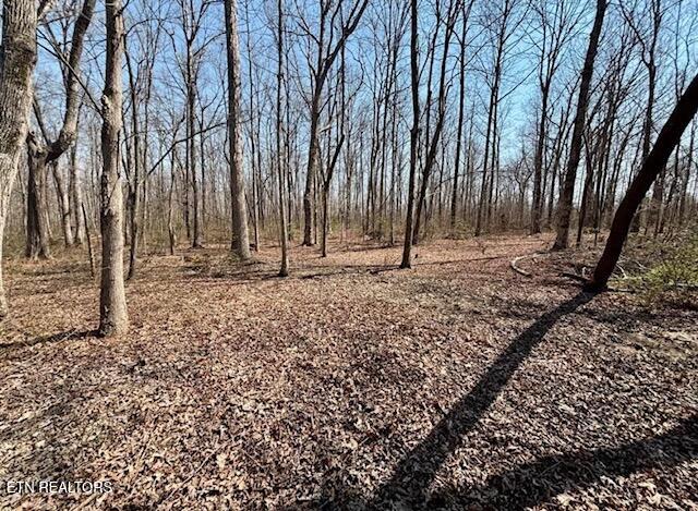 130 Dripping Springs Court Monterey TN 38574