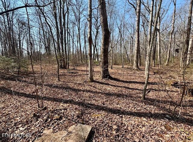 130 Dripping Springs Court Monterey TN 38574