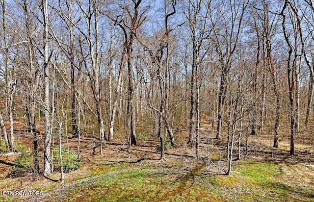 130 Dripping Springs Court Monterey TN 38574