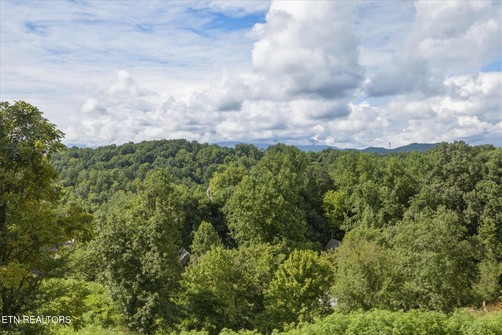 1634 Jed Trail Sevierville TN 37862