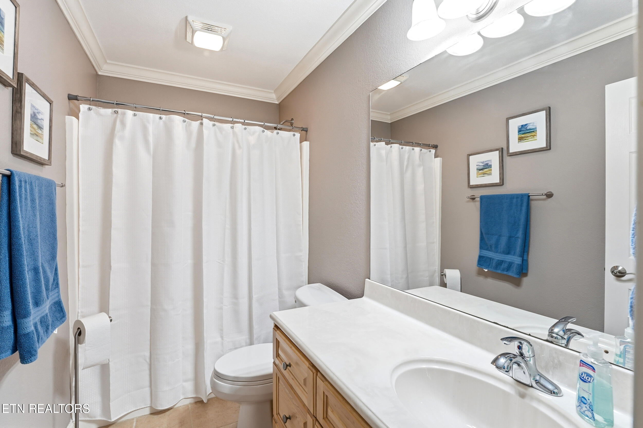 1733 Burnside Drive Maryville TN 37801