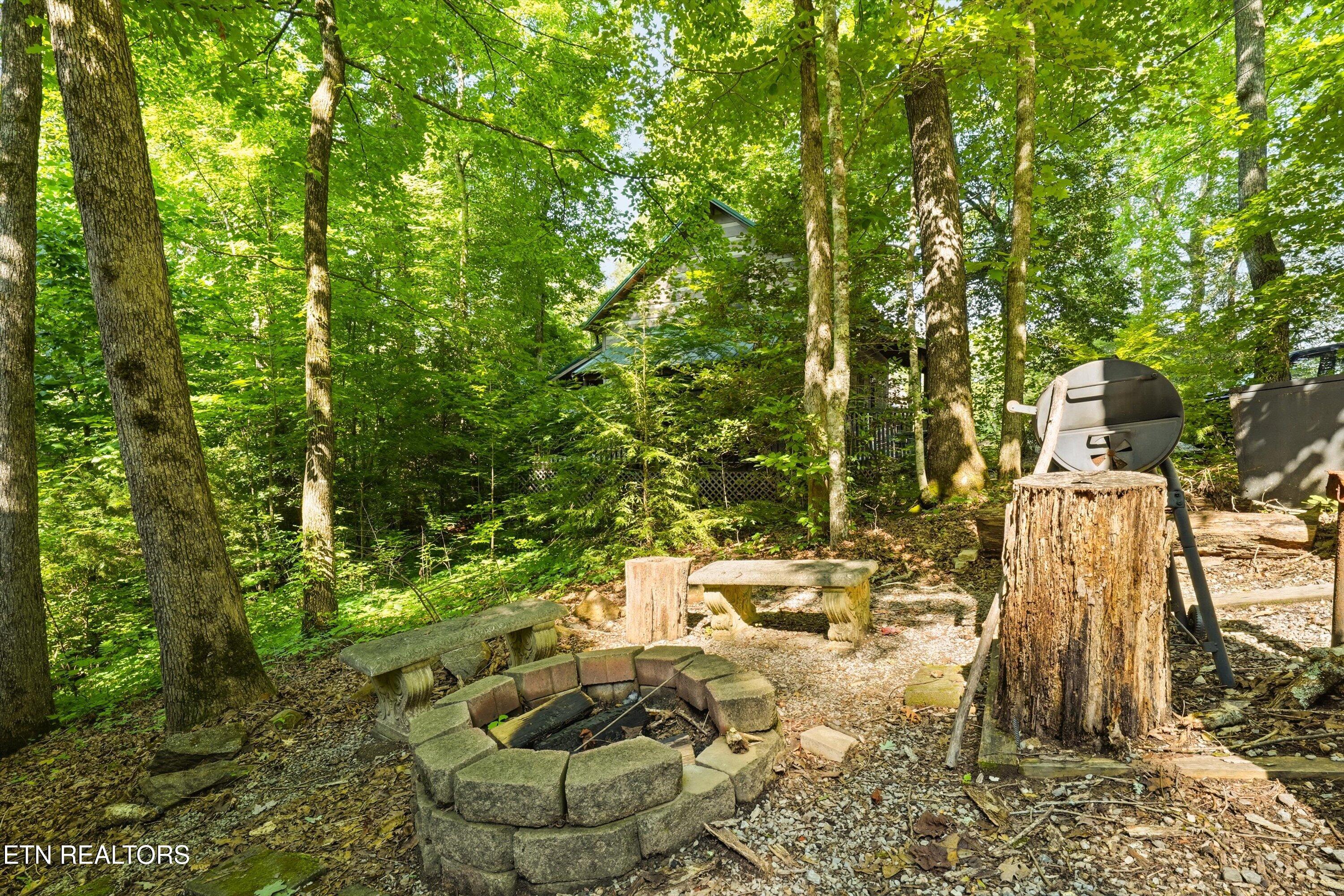 1918 Charles Lewis Way Sevierville TN 37876