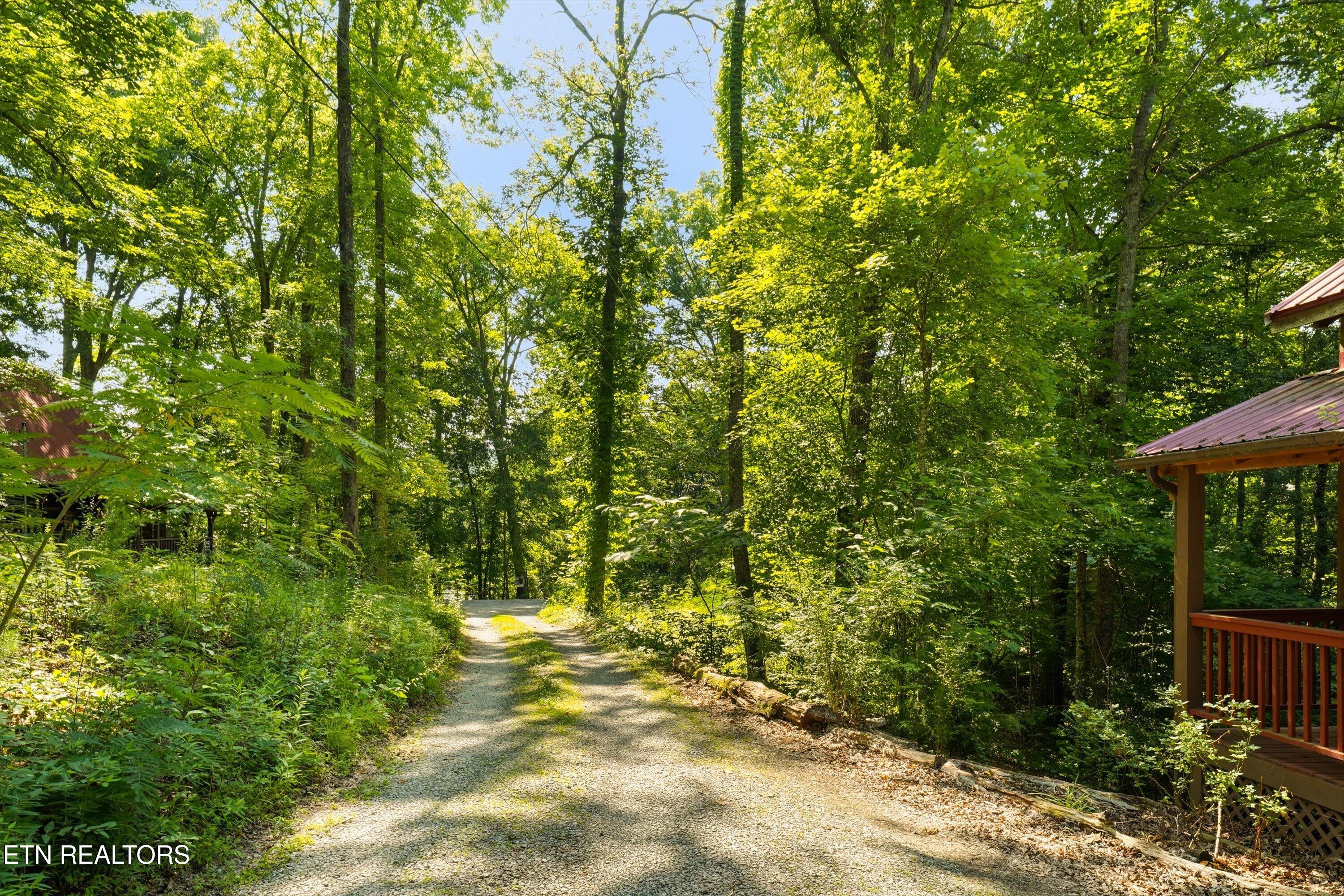 1918 Charles Lewis Way Sevierville TN 37876