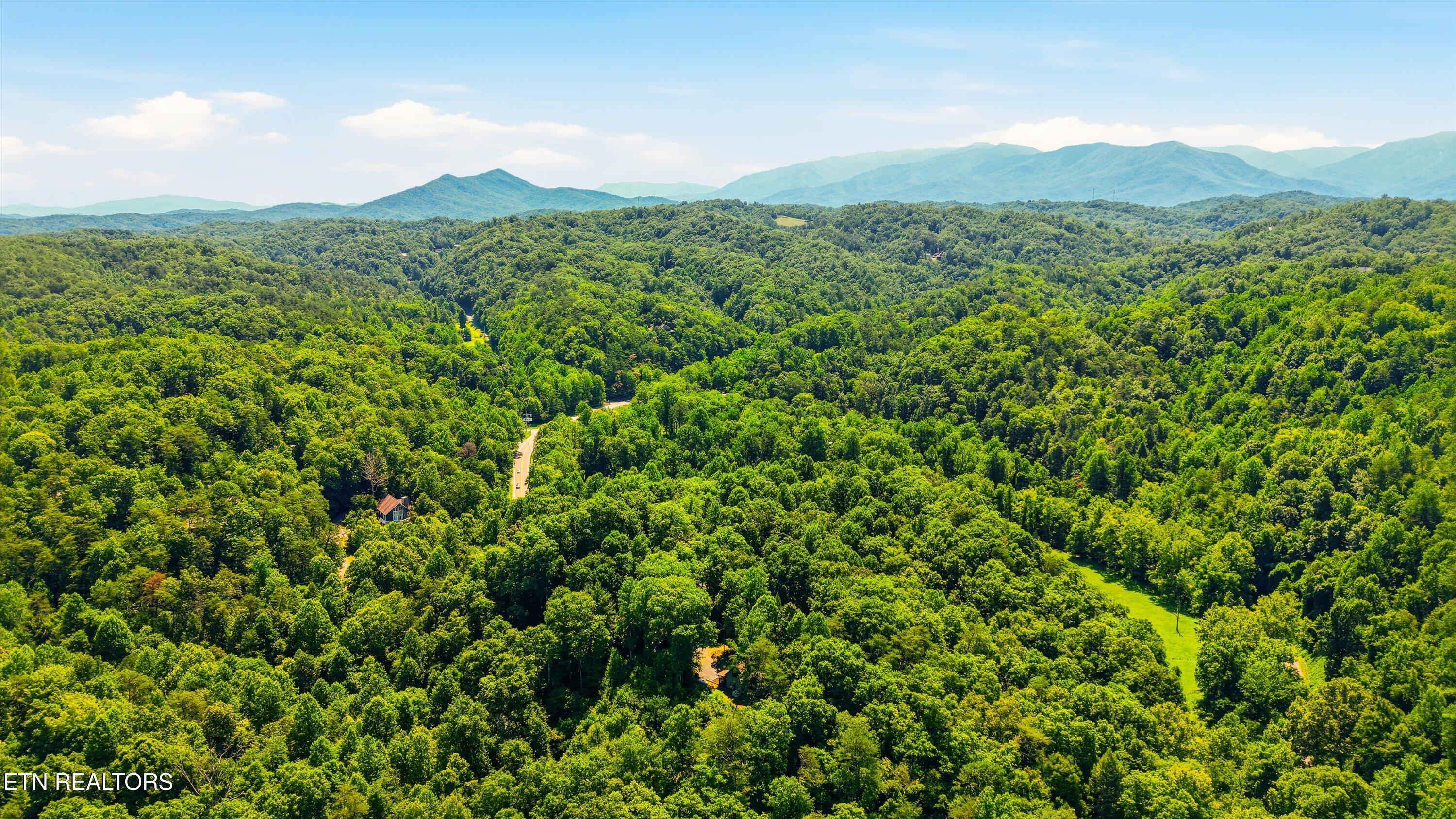 1918 Charles Lewis Way Sevierville TN 37876