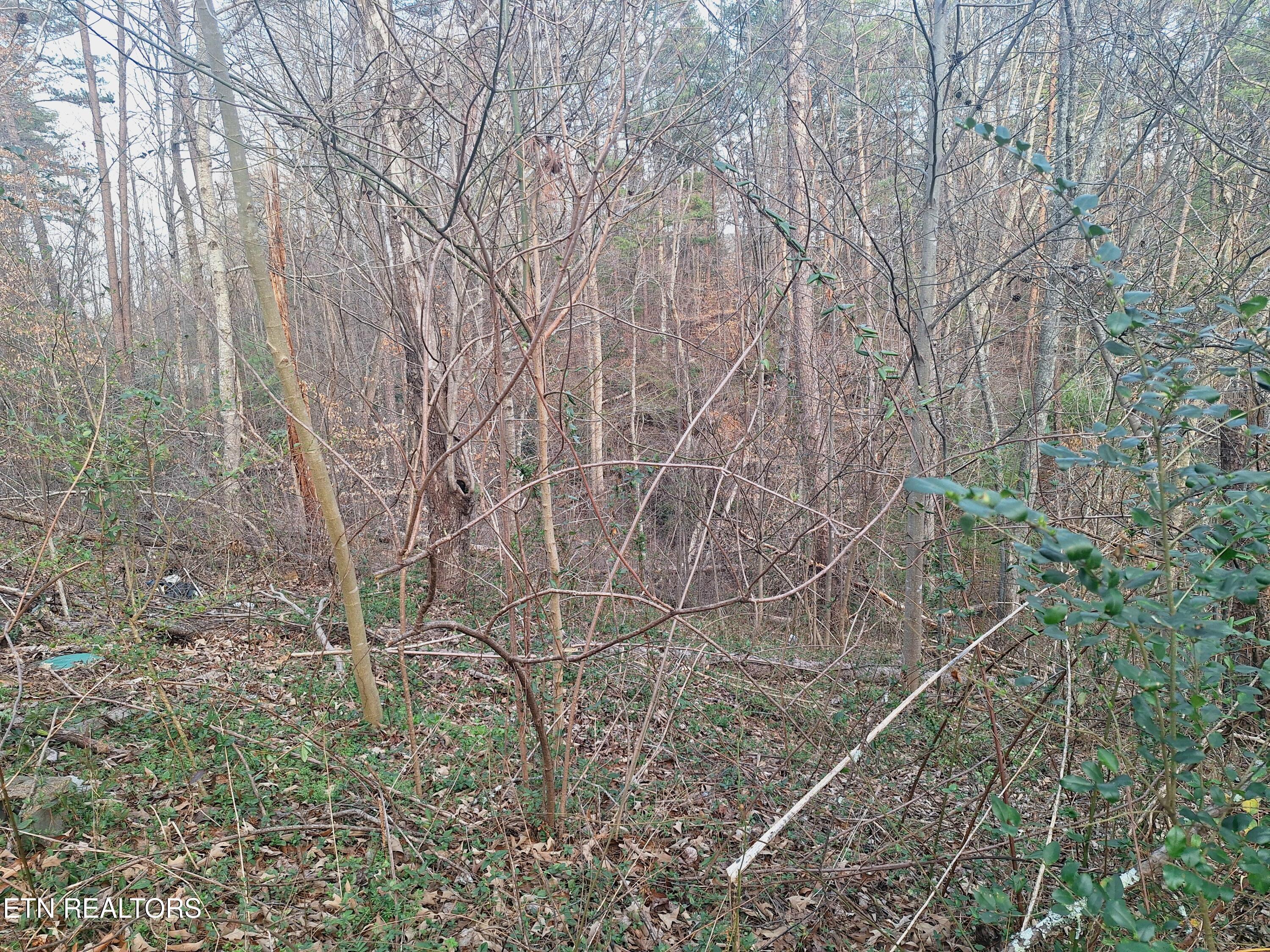 247 Towee Falls Road Tellico Plains TN 37385