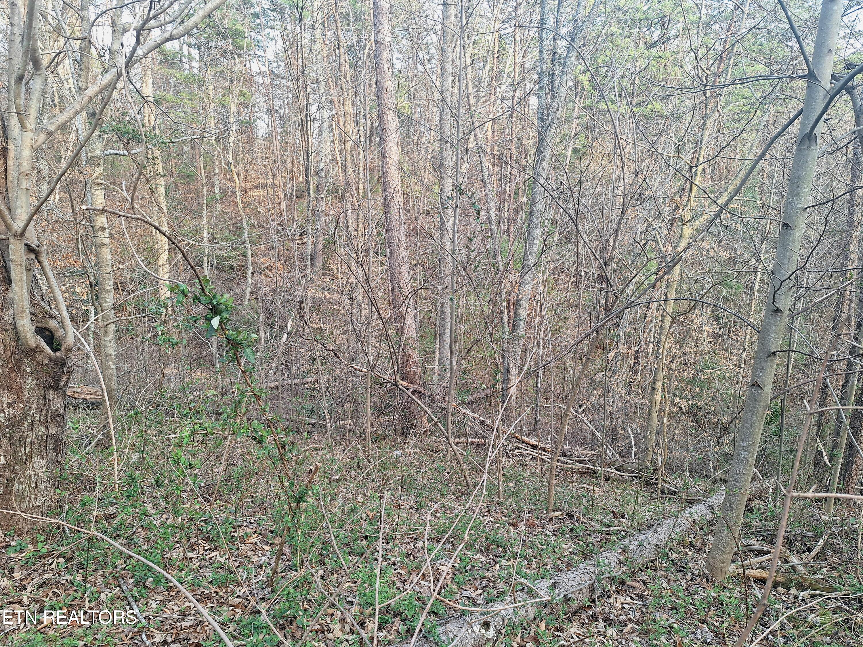 247 Towee Falls Road Tellico Plains TN 37385