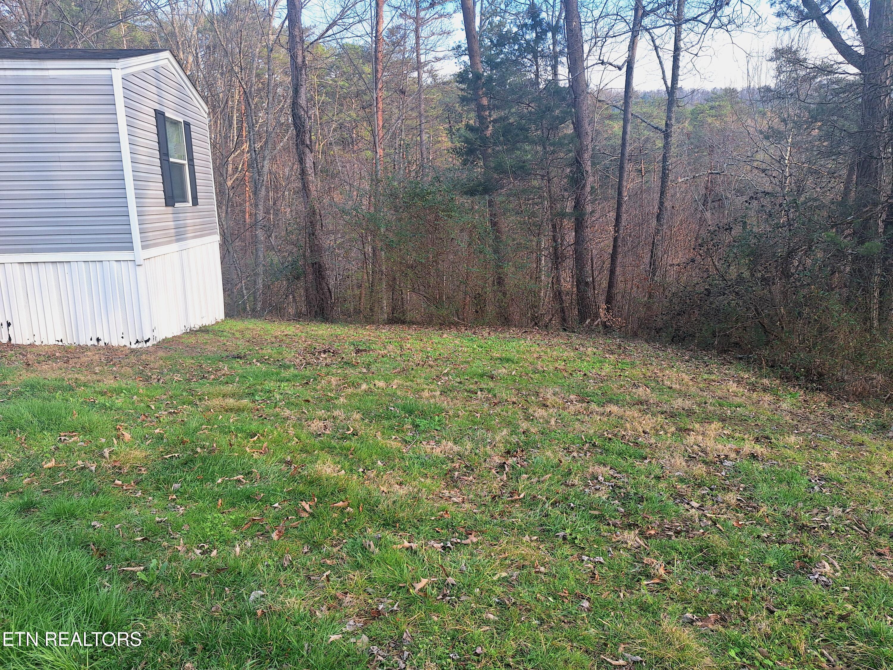 247 Towee Falls Road Tellico Plains TN 37385