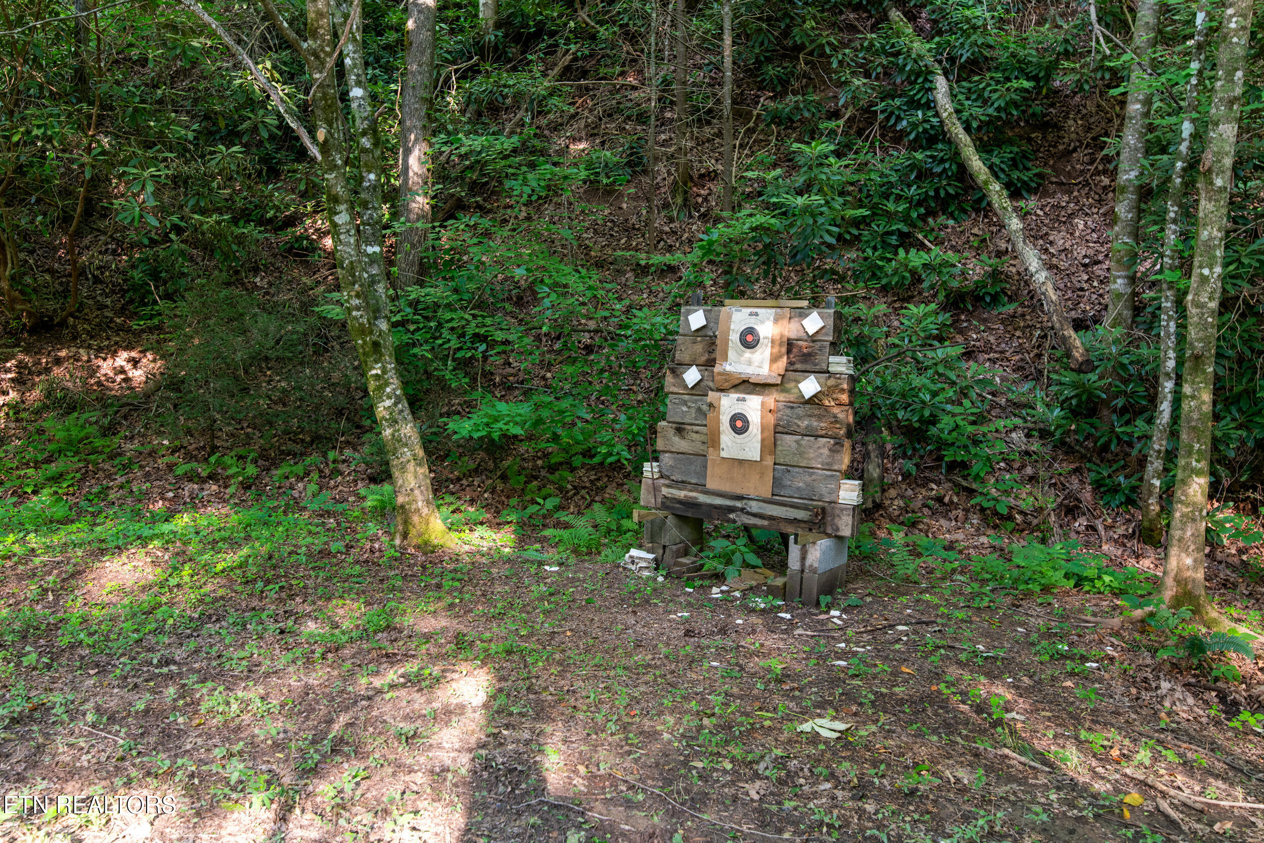 610 Towee Falls Road Tellico Plains TN 37385