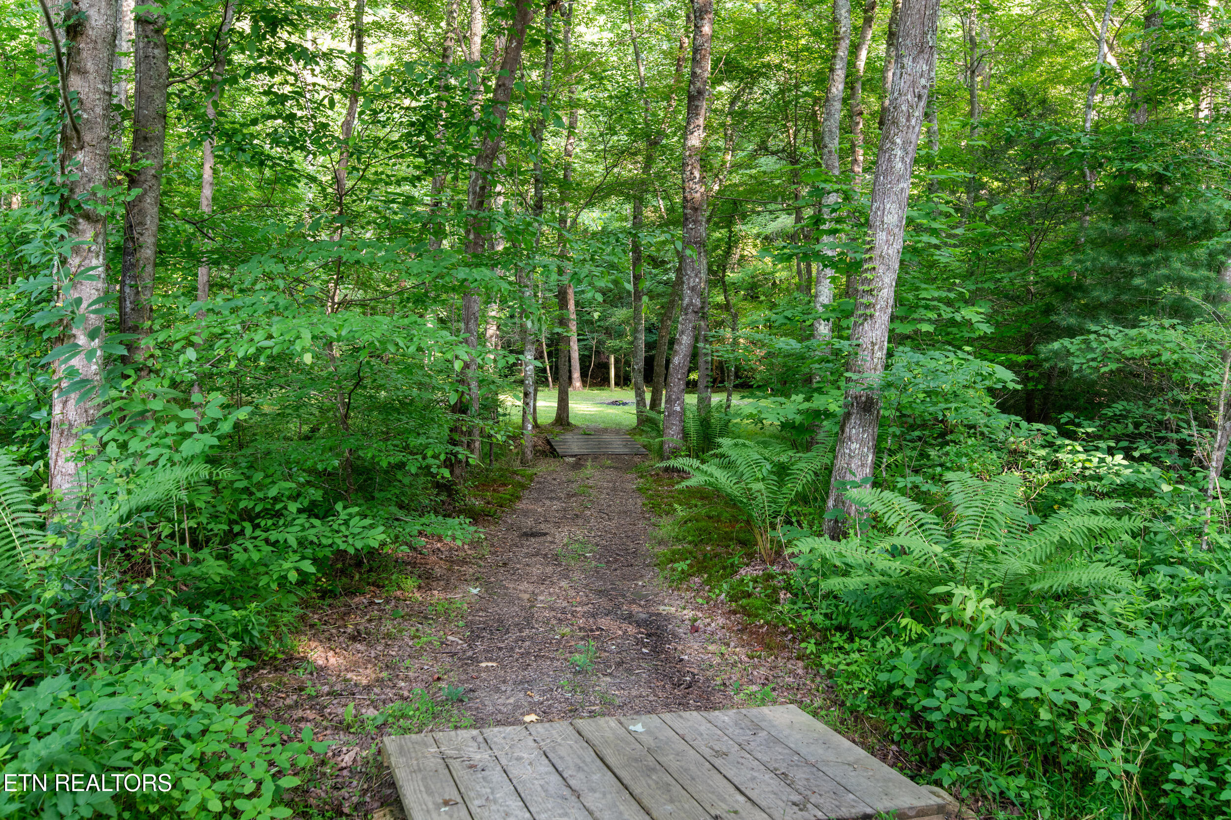 610 Towee Falls Road Tellico Plains TN 37385