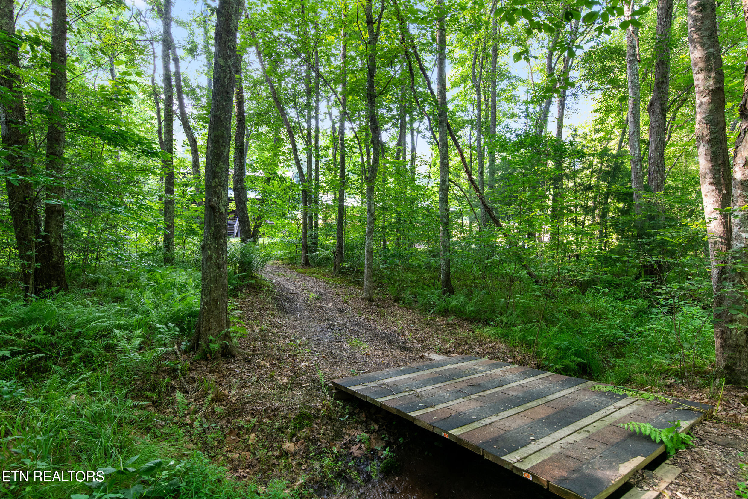 610 Towee Falls Road Tellico Plains TN 37385