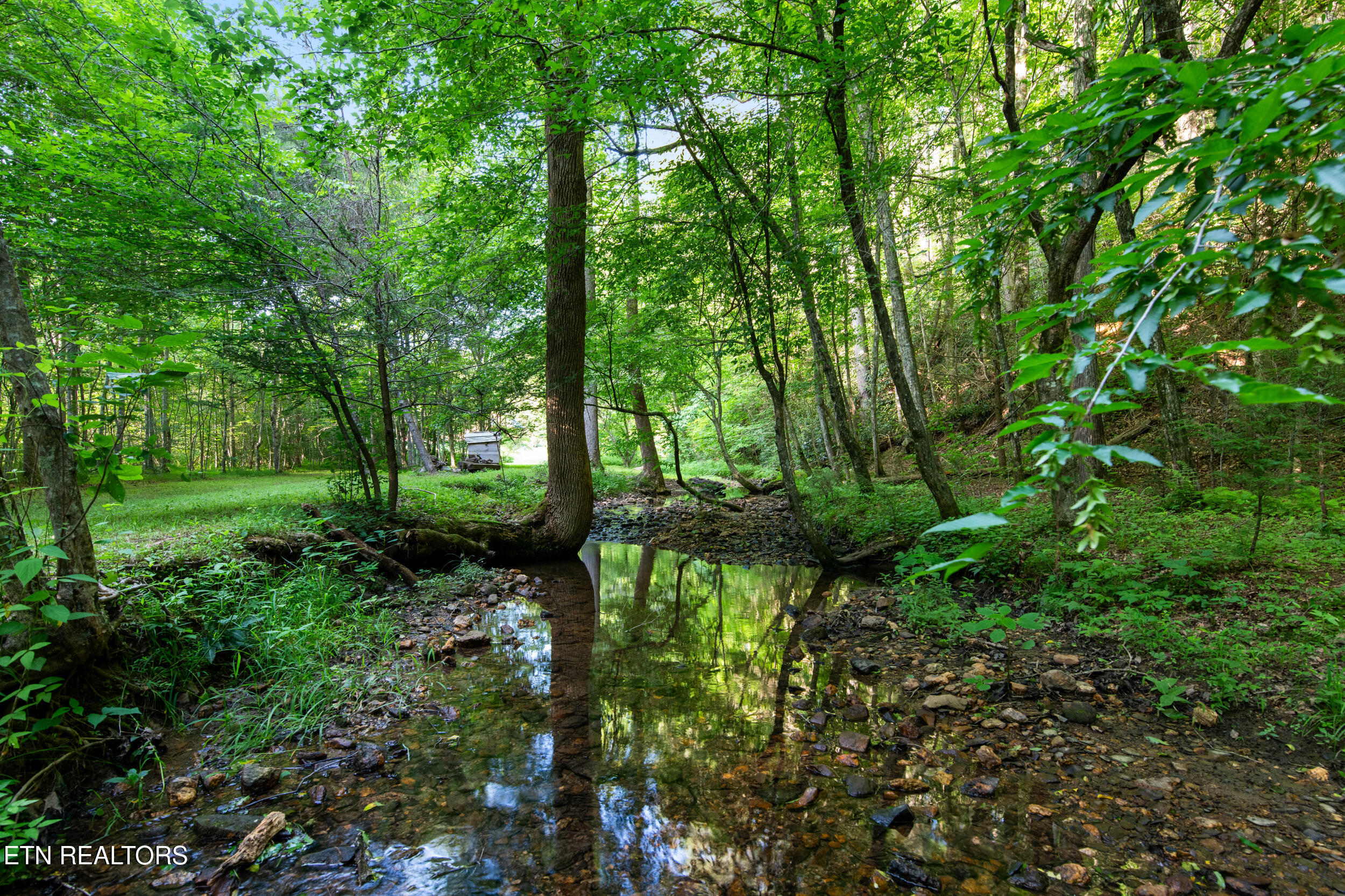 610 Towee Falls Road Tellico Plains TN 37385