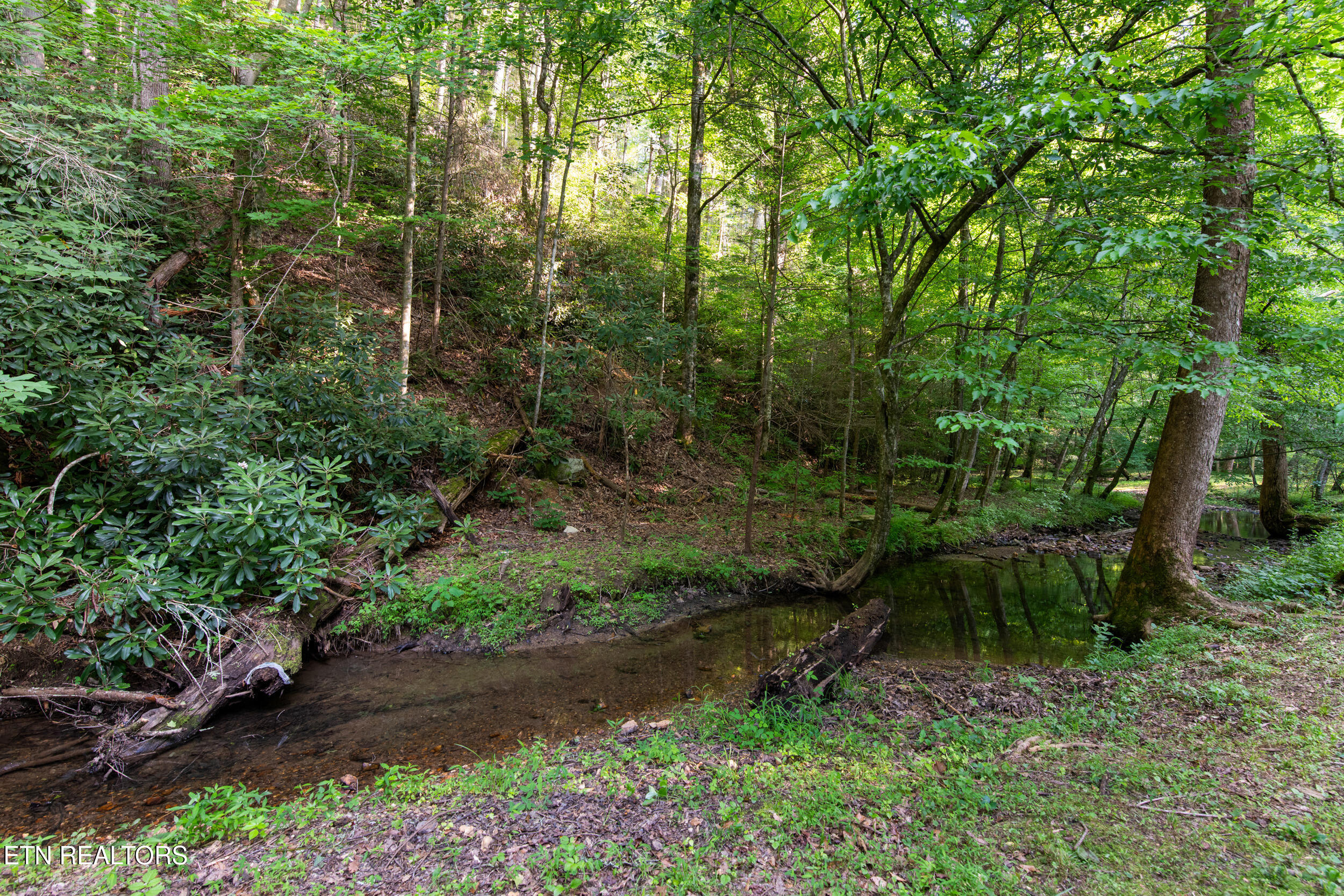 610 Towee Falls Road Tellico Plains TN 37385