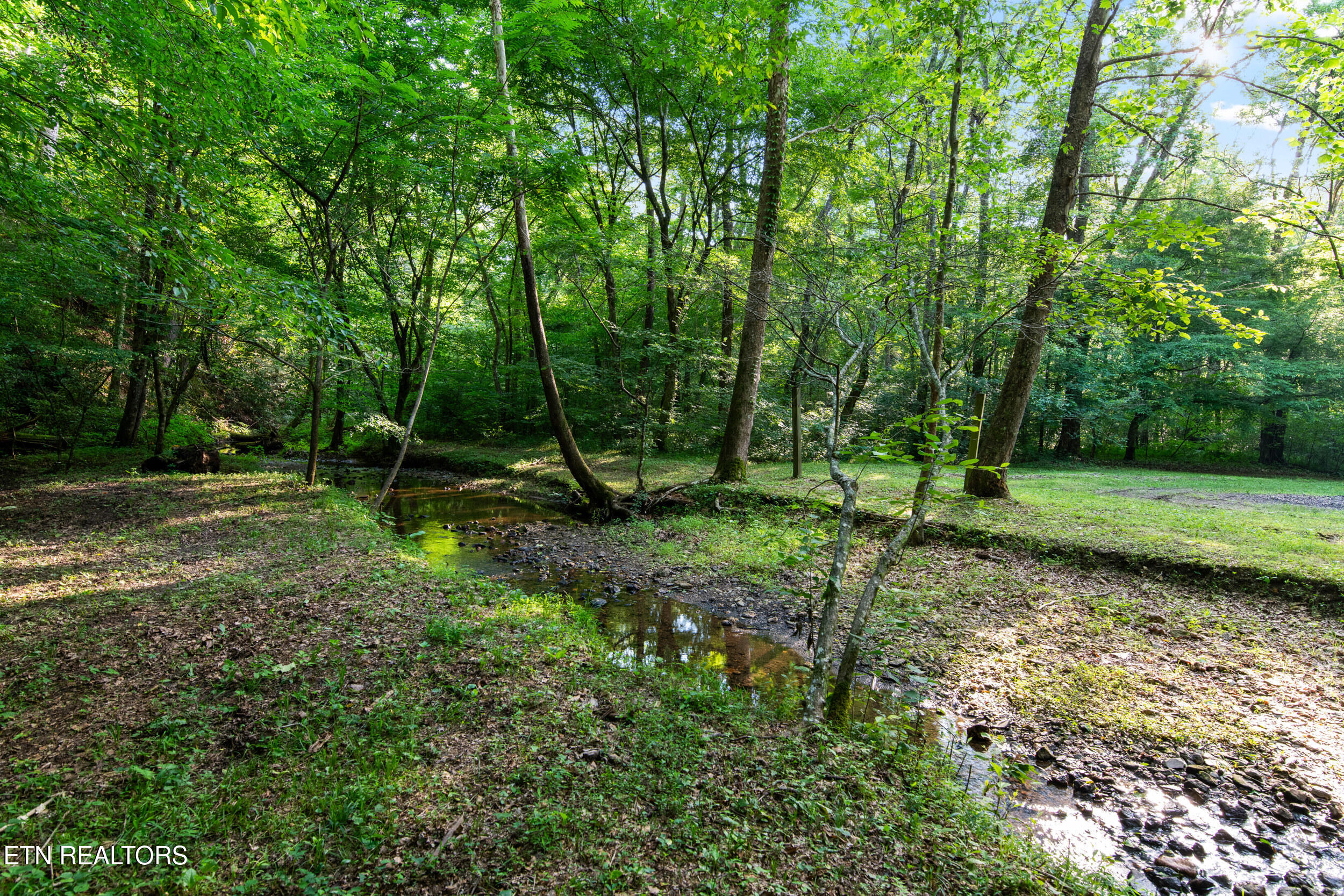 610 Towee Falls Road Tellico Plains TN 37385