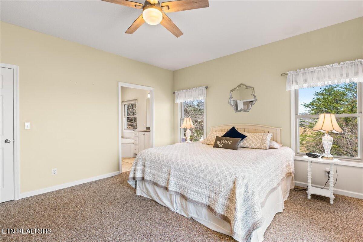223 Holly Lane Lafollette TN 37766