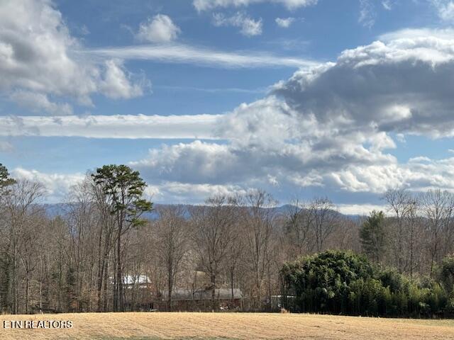 1050 Pathways Drive Seymour TN 37865