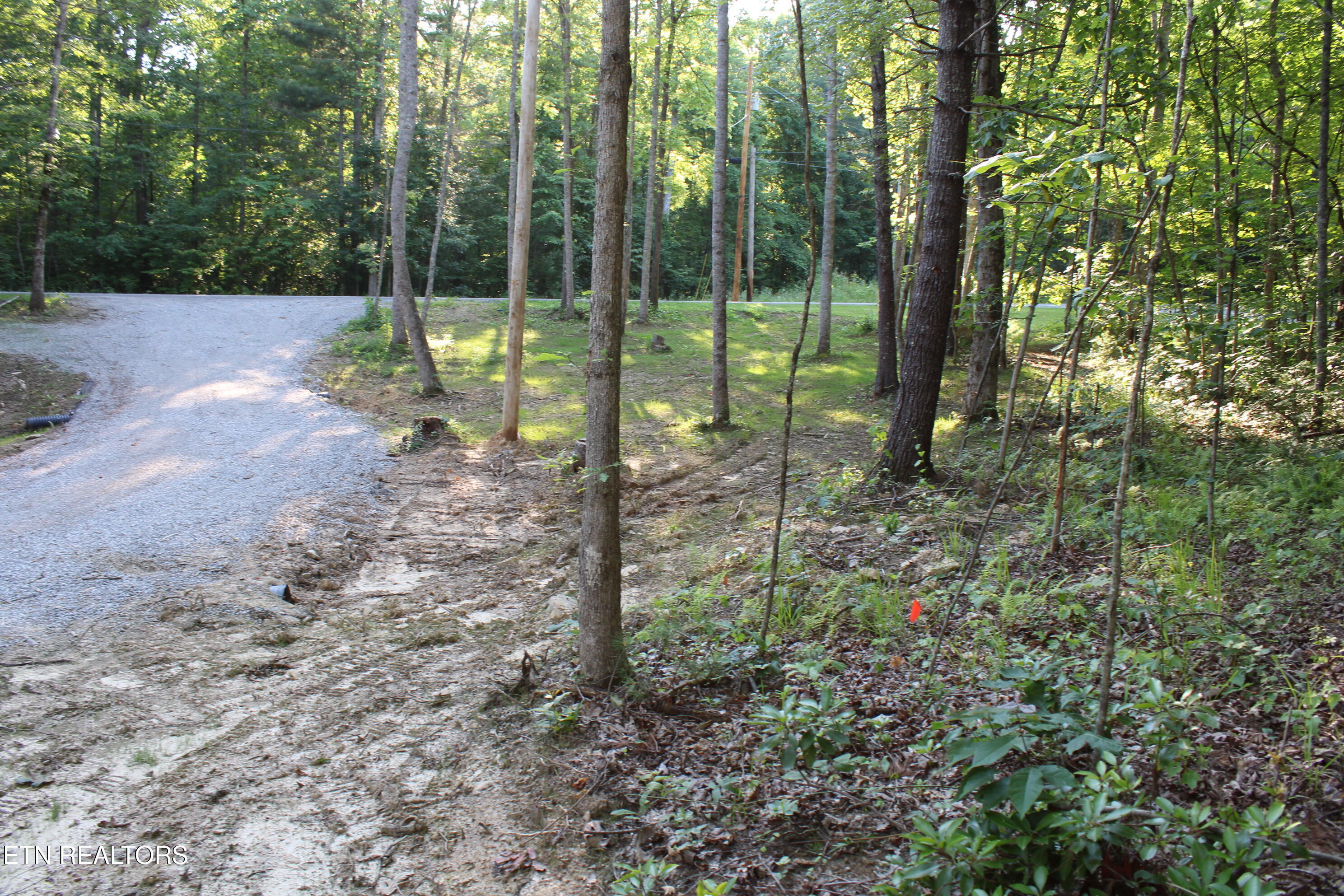 137 John Cox Road Deer Lodge TN 37726