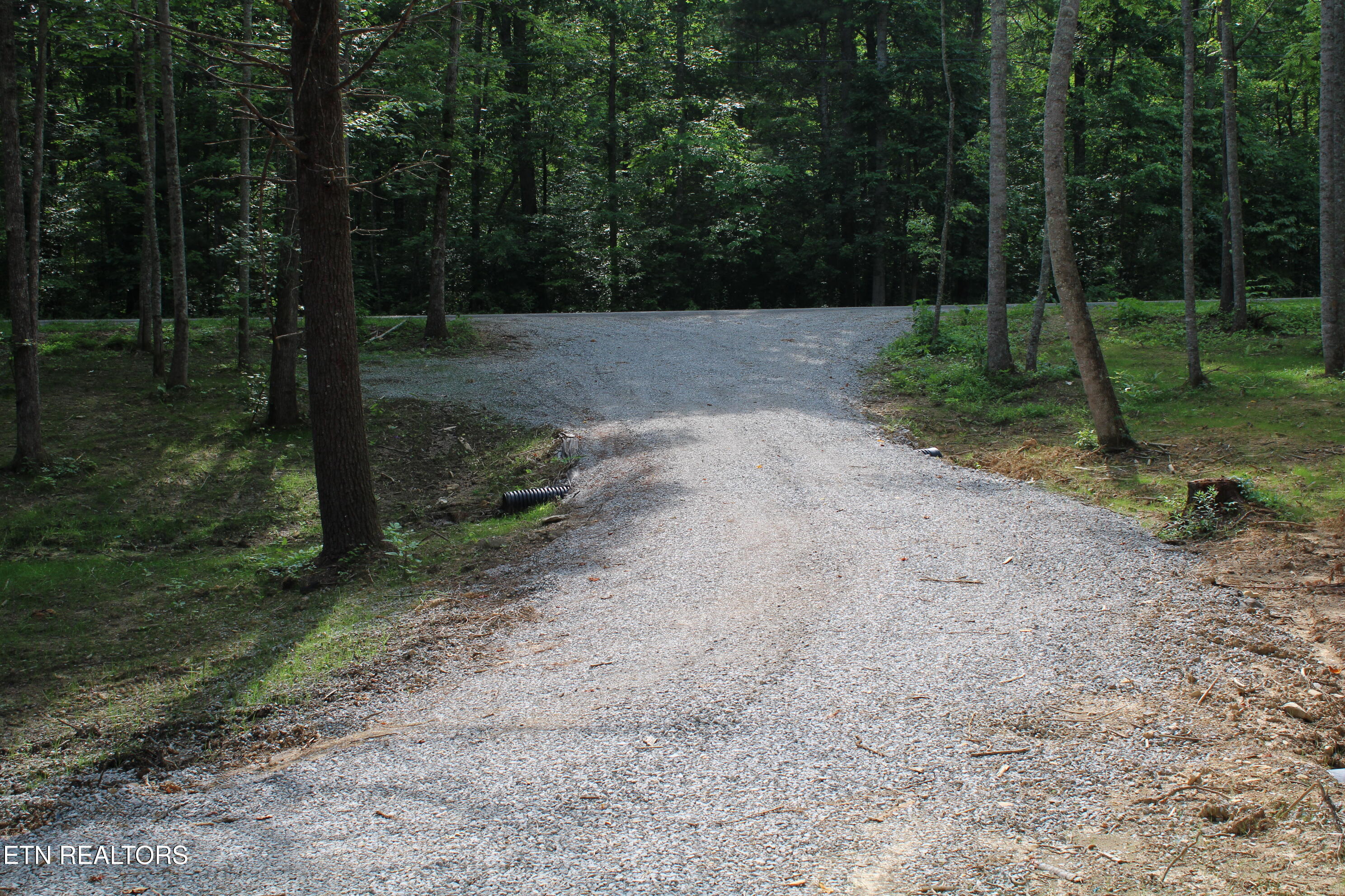137 John Cox Road Deer Lodge TN 37726