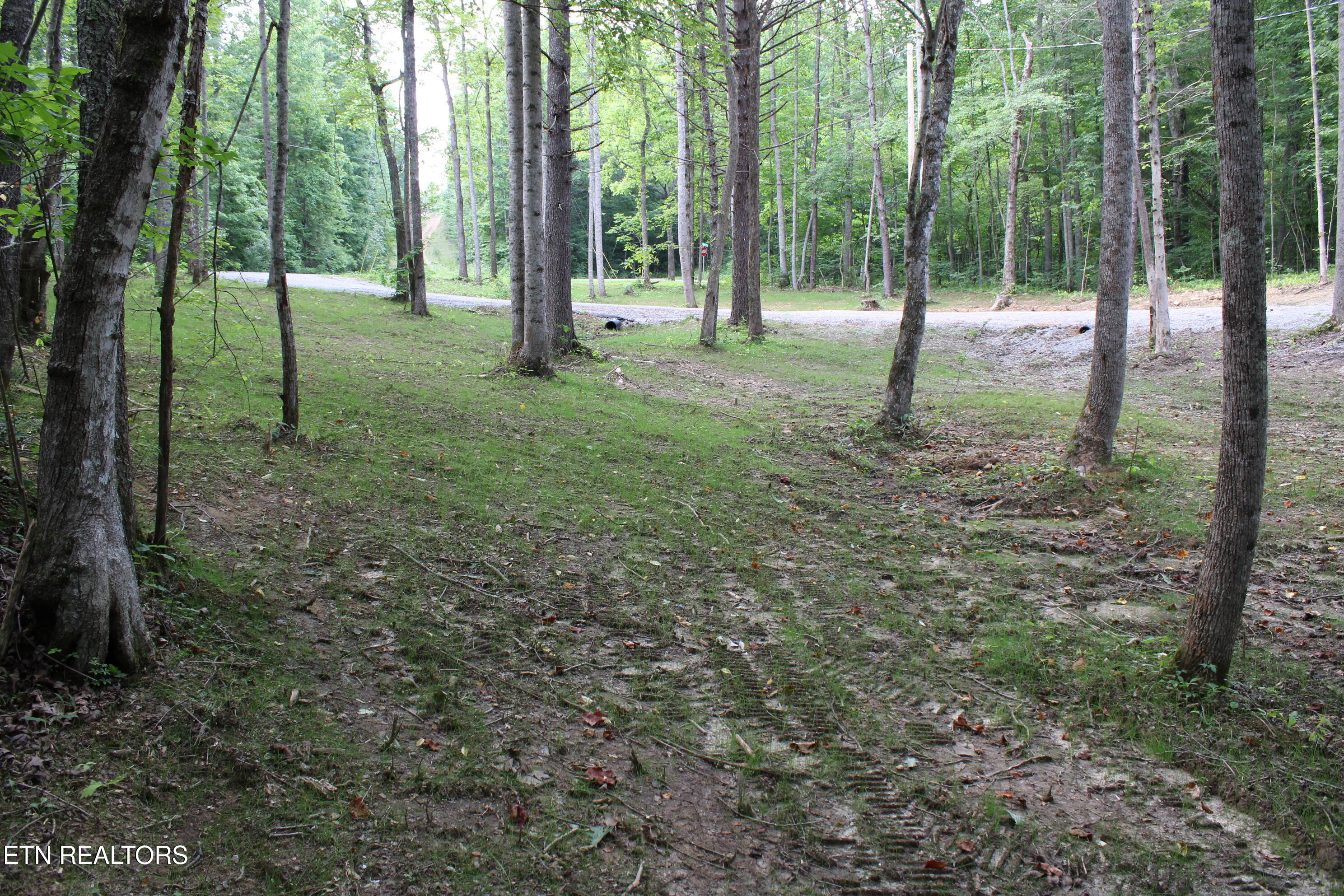 137 John Cox Road Deer Lodge TN 37726