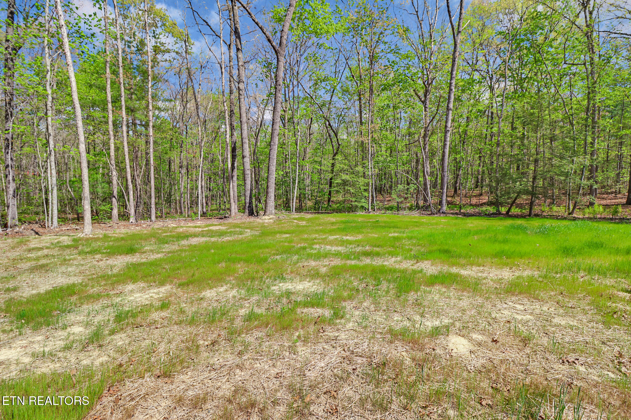 133 Jay Loop Jamestown TN 38556