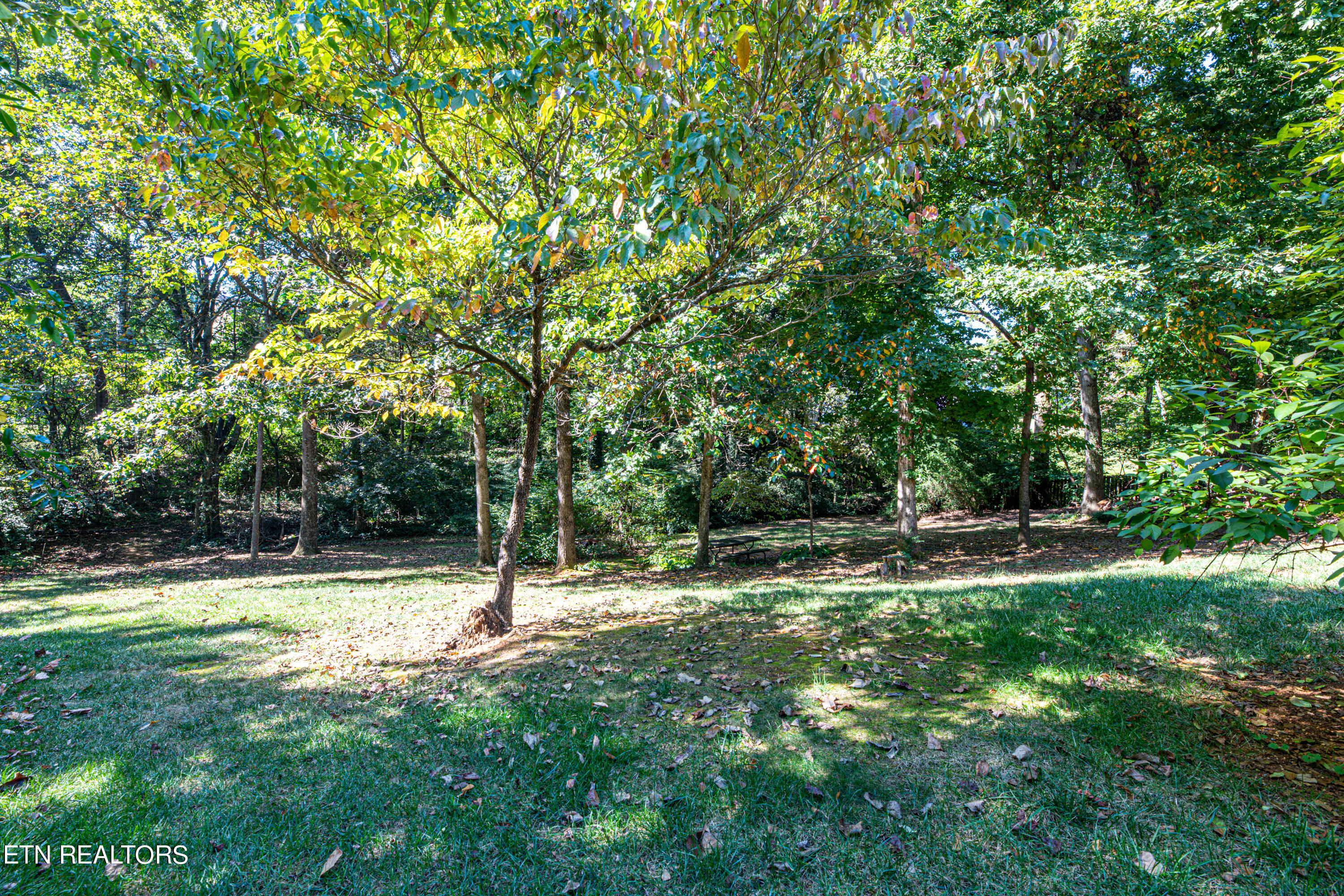 1433 Amblewinds Lane Knoxville TN 37922