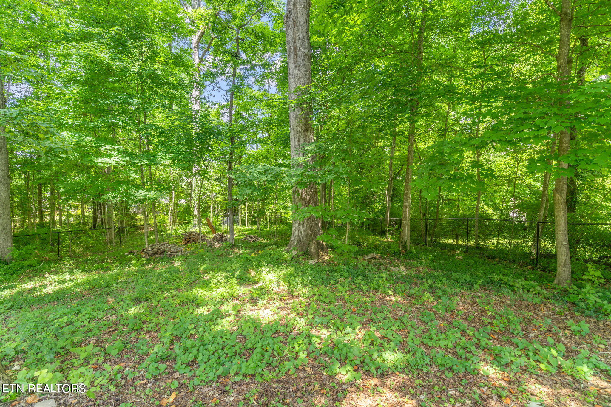 619 White Oak Drive Knoxville TN 37920