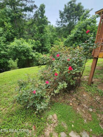 342 Ingle Hollow Road Sevierville TN 37876