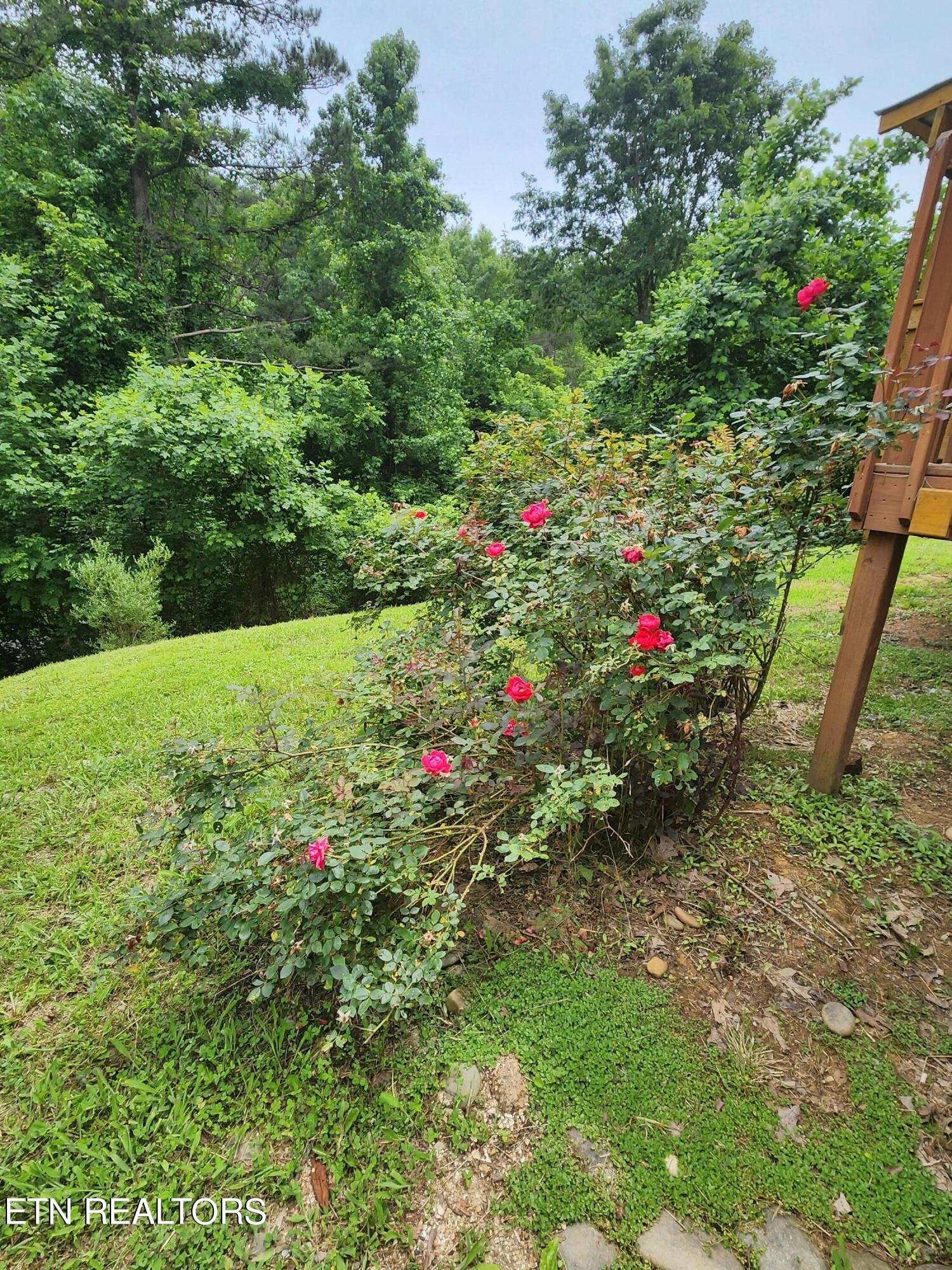 342 Ingle Hollow Road Sevierville TN 37876