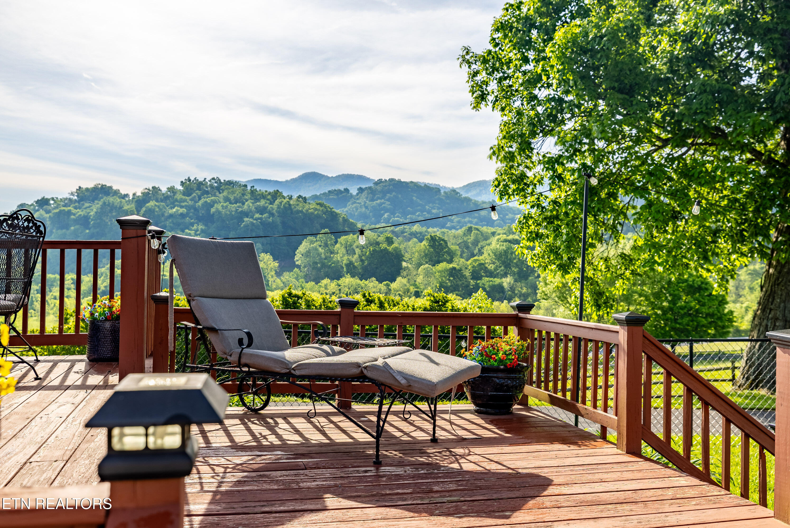 918 Country Lane Walland TN 37886