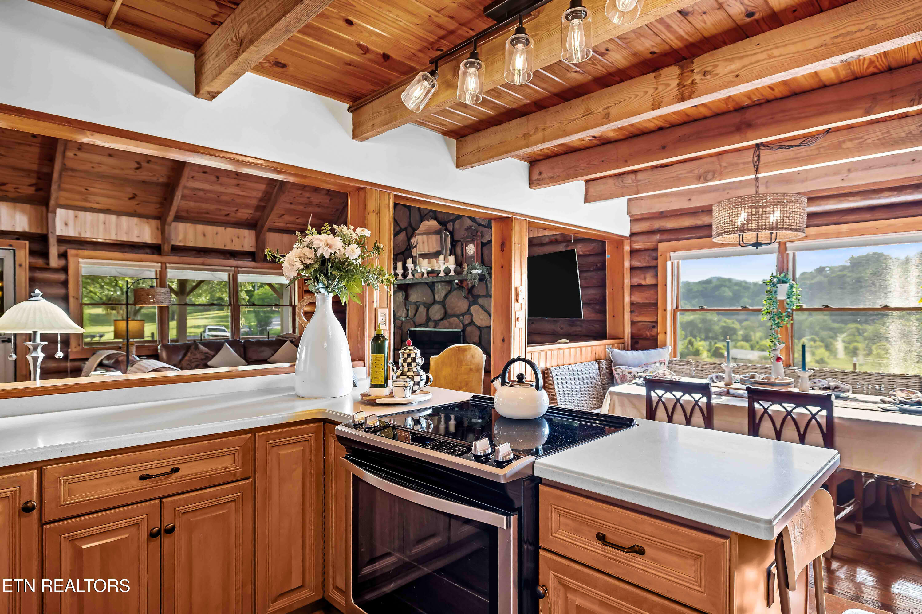 918 Country Lane Walland TN 37886