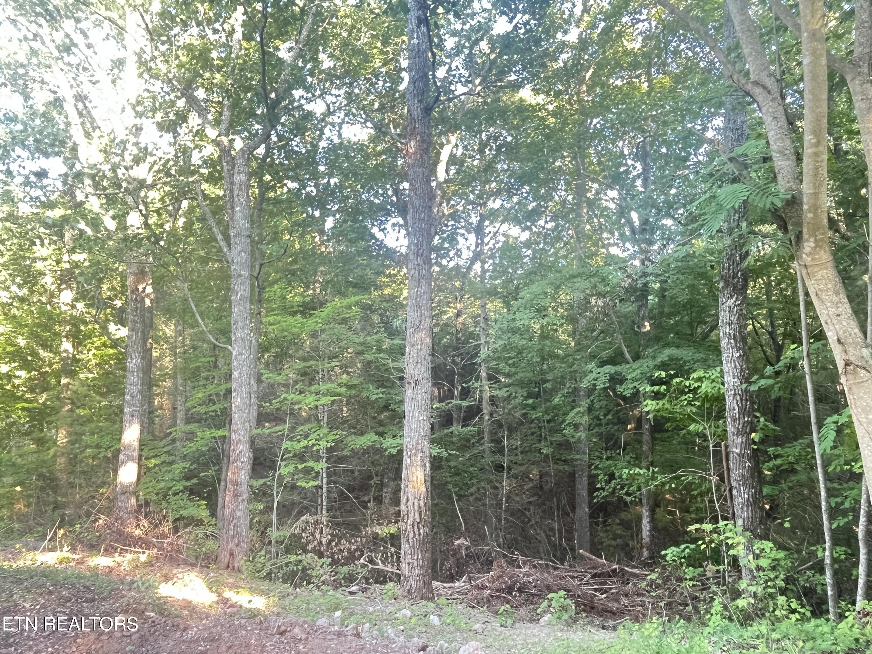2245 Mount Pleasant Road Vonore TN 37885