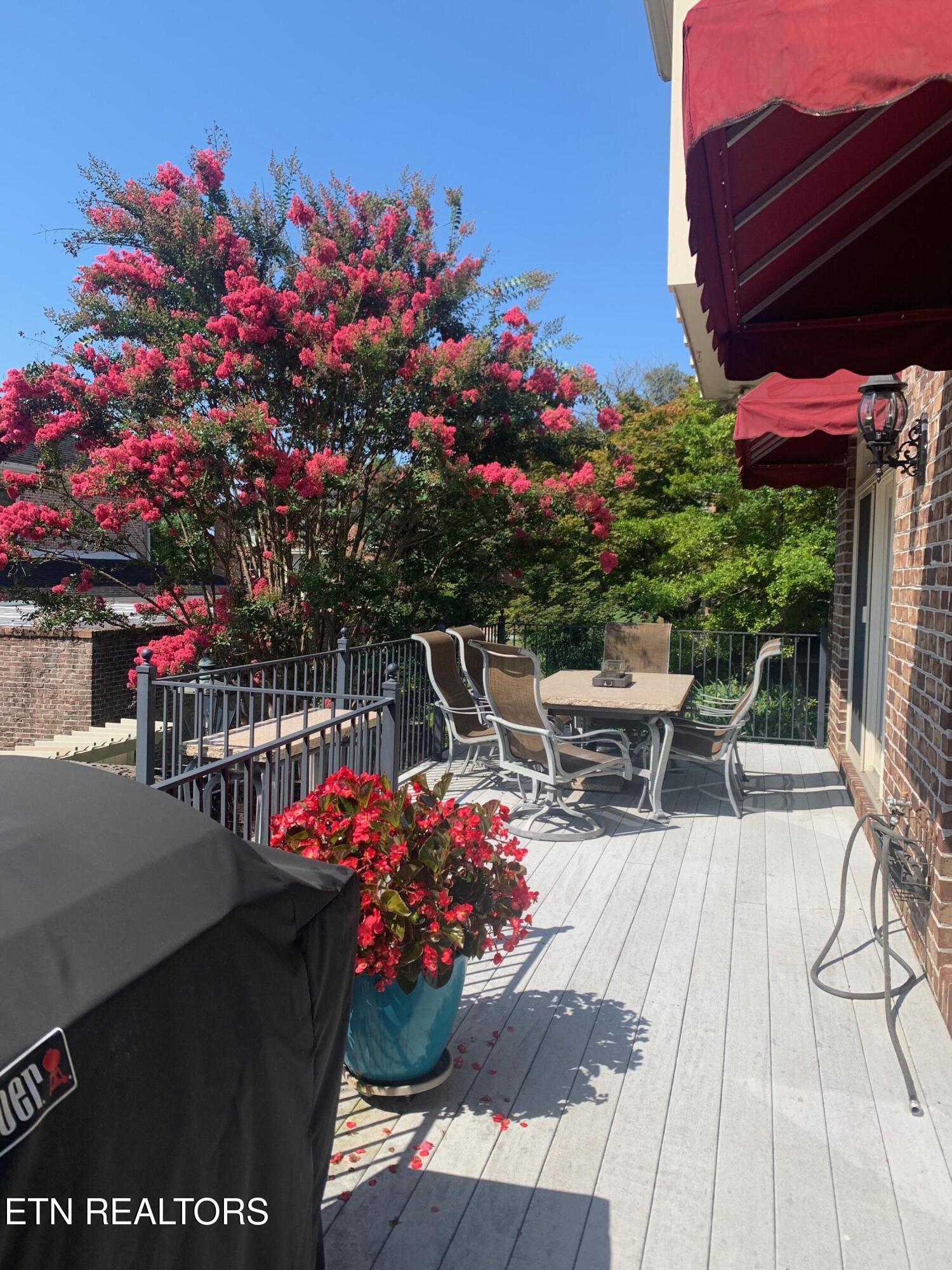 424 Boxwood Knoxville TN 37919