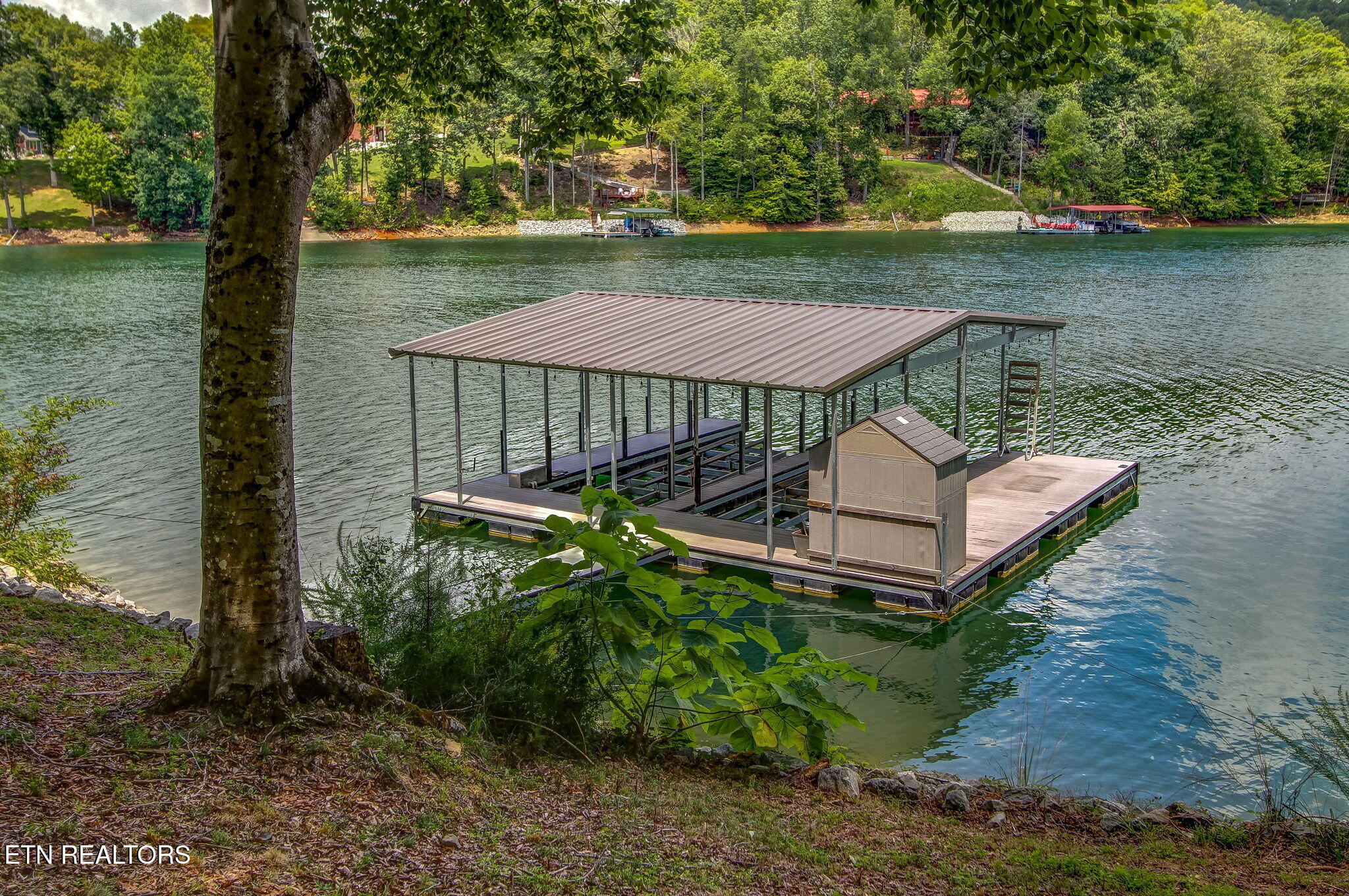 163 Scott Sharps Chapel TN 37866