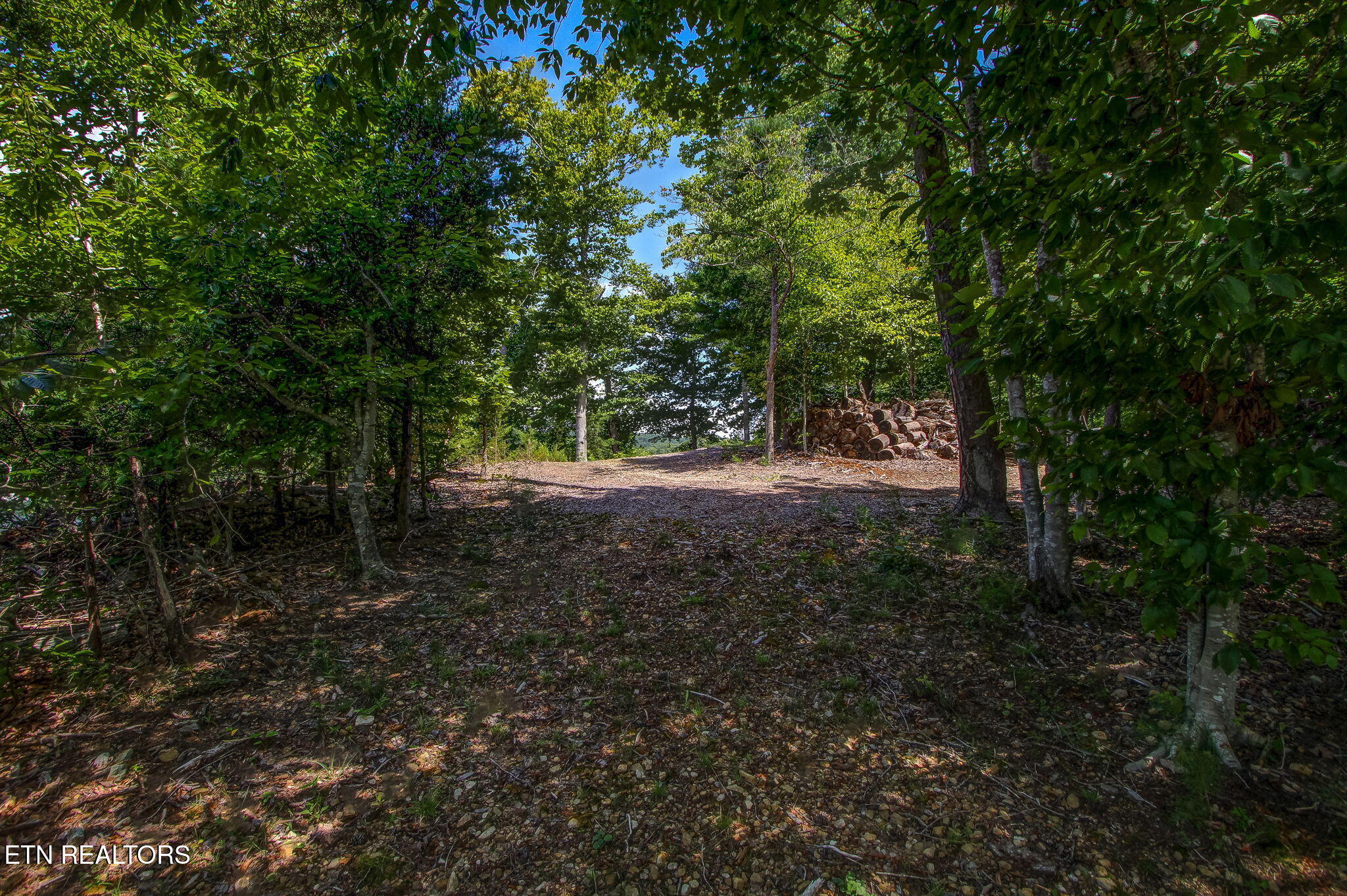 163 Scott Sharps Chapel TN 37866