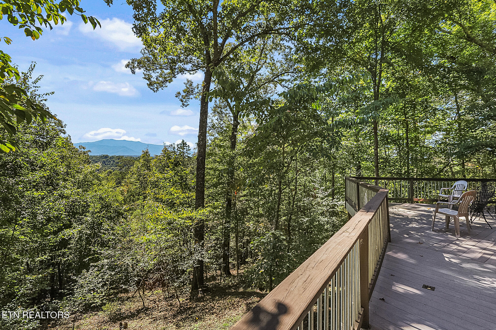 3502 Lillie Boulevard Sevierville TN 37876