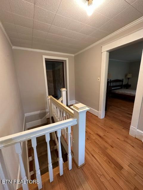 696 Forge Ridge Road Harrogate TN 37752