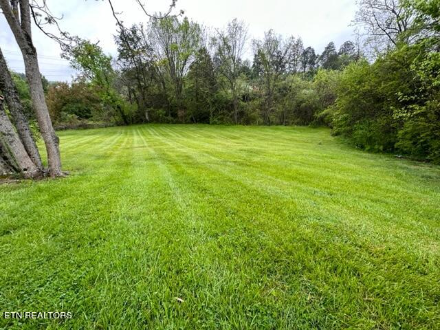 696 Forge Ridge Road Harrogate TN 37752