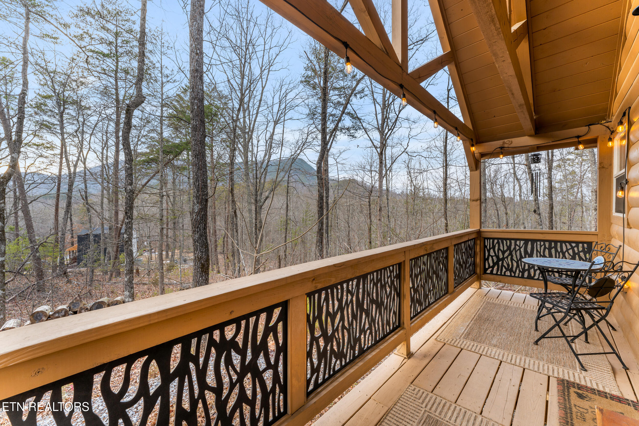 1634 S Mountain View Road Sevierville TN 37876