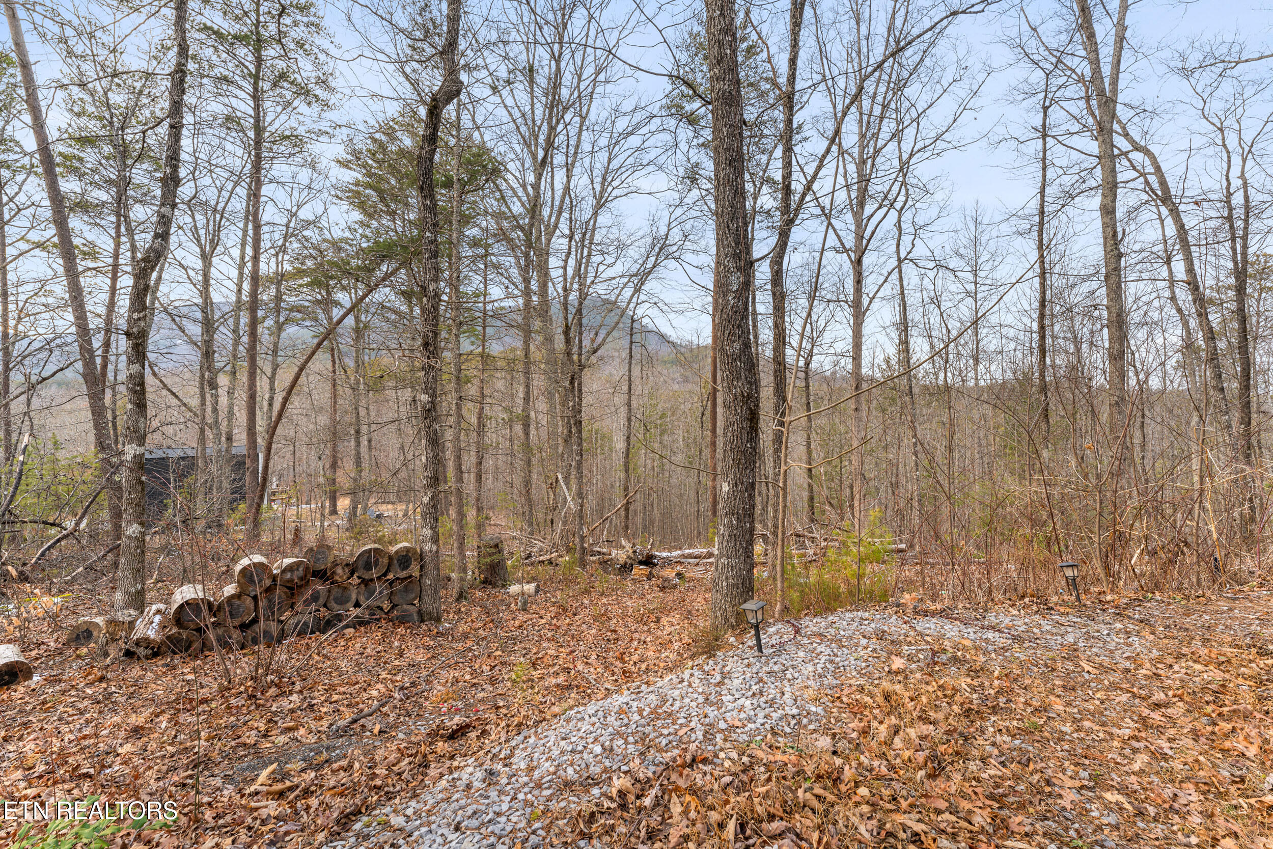 1634 S Mountain View Road Sevierville TN 37876