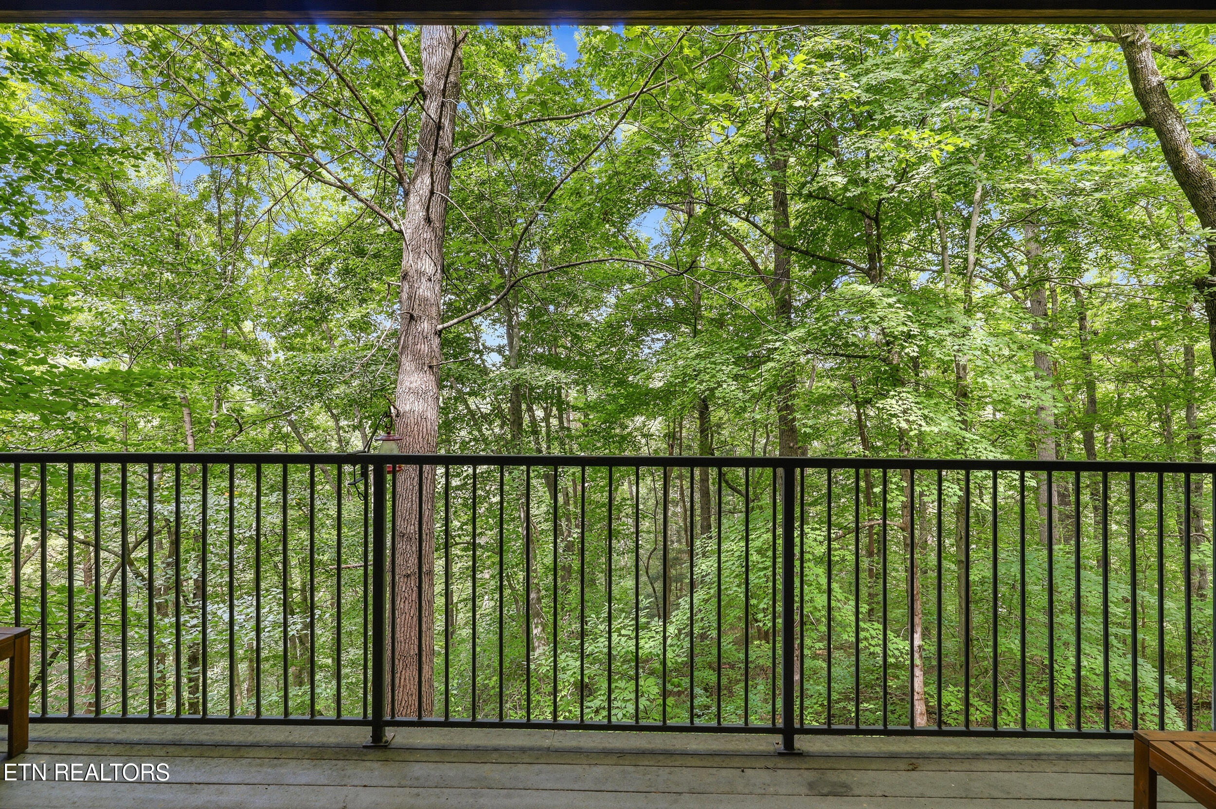 419 Maggie Mack Lane Sevierville TN 37862