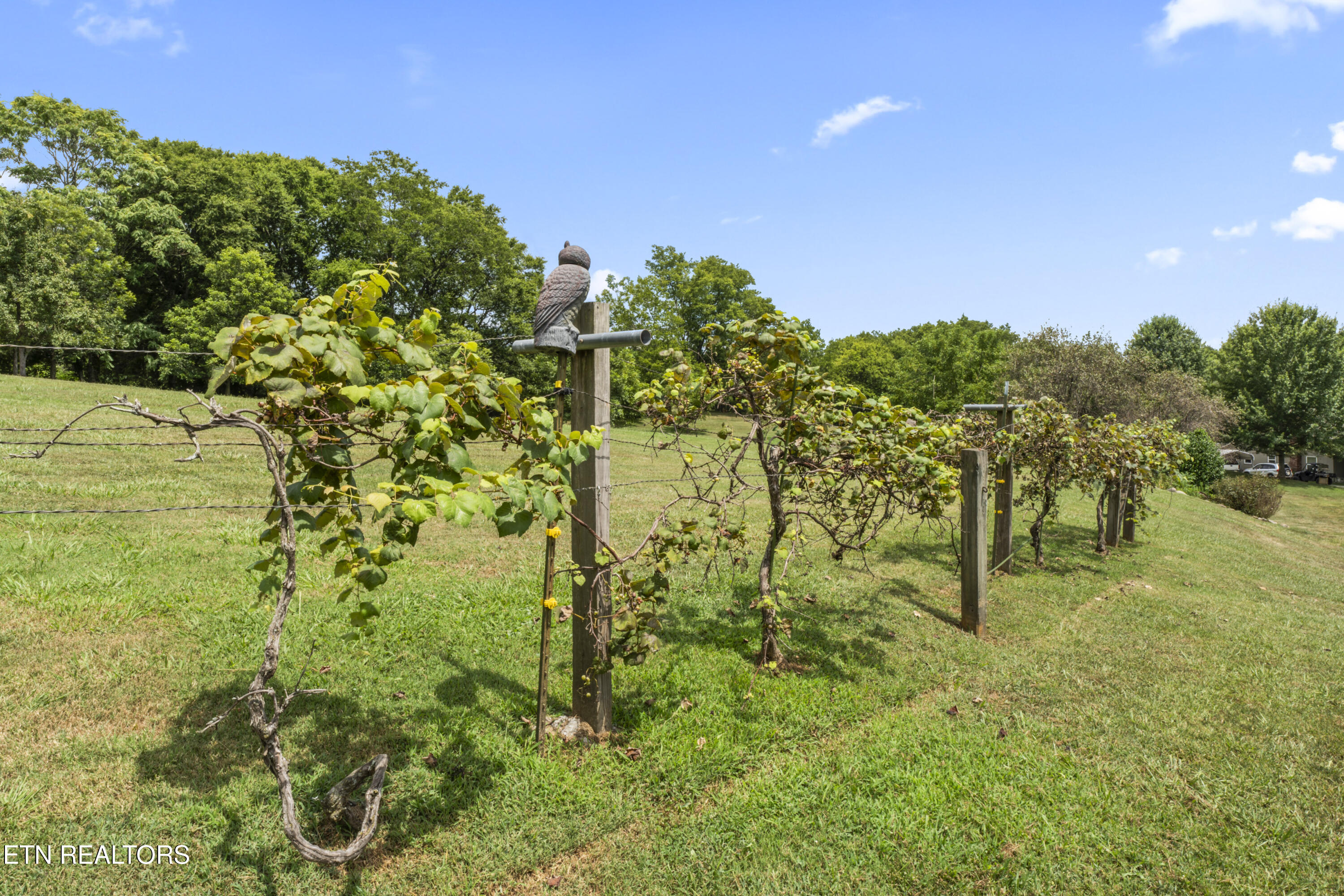 554 Briggs Road Dandridge TN 37725