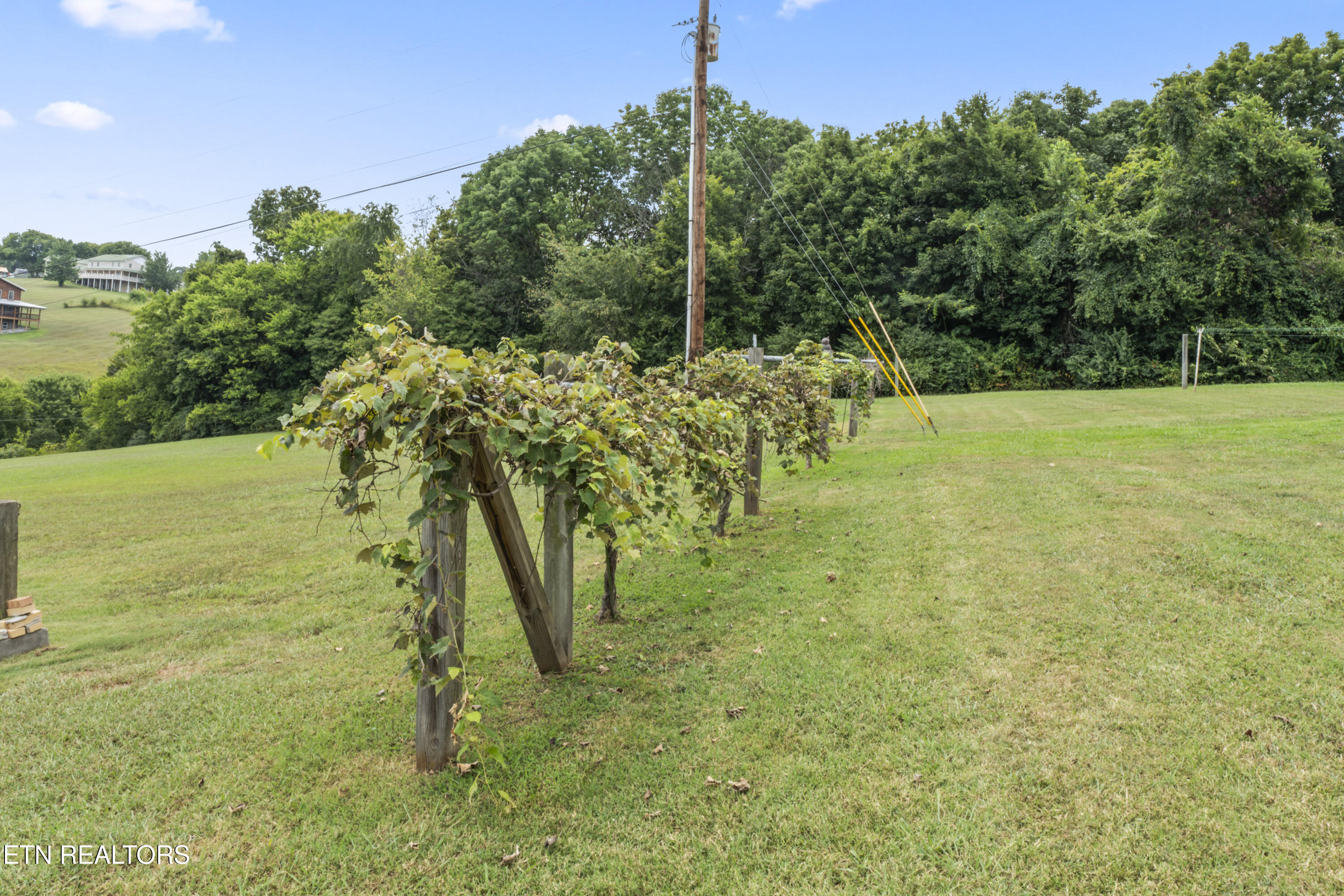 554 Briggs Road Dandridge TN 37725